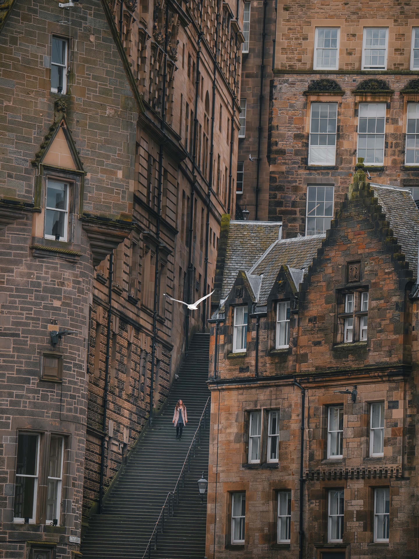 Postcards from Edinburgh🏴
Kaum eine Stadt wirkt so malerisch wie Edinburgh. Ein Ort, der zu jeder Jahreszeit verzaubert, aber im Herbst und Winter seine ganz besondere Magie entfaltet. 🍂🌫️
Zwischen nebligen Gassen, historischen Fassaden und mystischer Stimmung fühlt man sich hier fast wie in einer anderen Welt. Genau diese trüben Tage machen Edinburgh so einzigartig und laden dazu ein, die Stadt in all ihren Facetten zu genießen. 💫
.
.
#edinburgh #visitscotland #thisisscotland #scotlandlovers #hiddenscotland #lovescotland #scotlandtravel #discoveredinburgh #postcardsfromtheworld #travelinspo #wanderlust #moodygrams #foggyvibes #oldtownmagic #magicalscotland
#edinburgholdtown #edinburghshopping #edinburghstatues #travelblog #travelphotography #reiseblog #reiseblogger