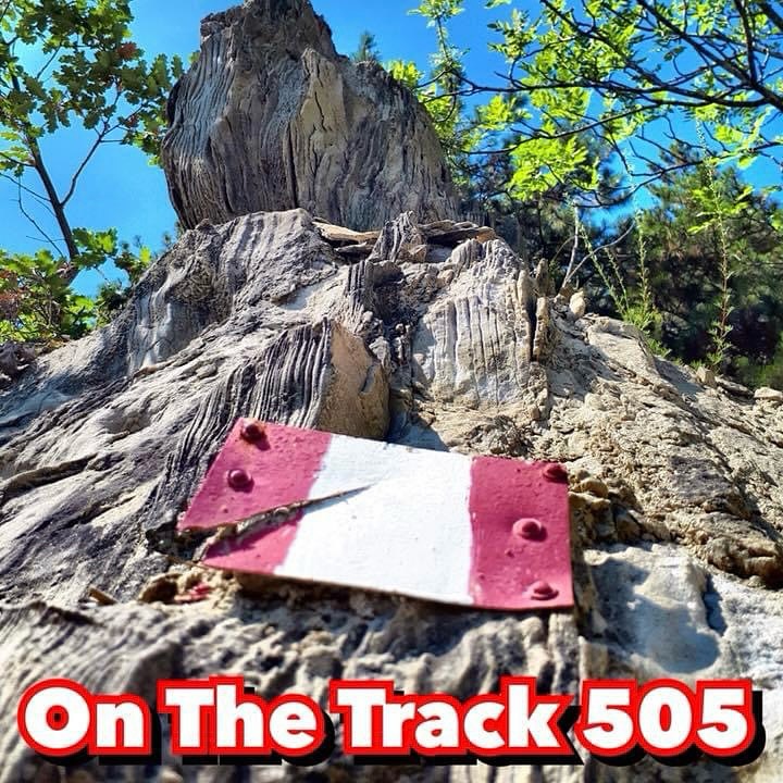 ARE YOU READY???
LET’S GO!!!
Domani mattina perte la tredicesima edizione del fantastico trail nel selvaggio Appennino Tosco Romagnolo!!!
Buon divertimento a tutti i partecipanti!!!
💪💪💪🔥🔥🔥