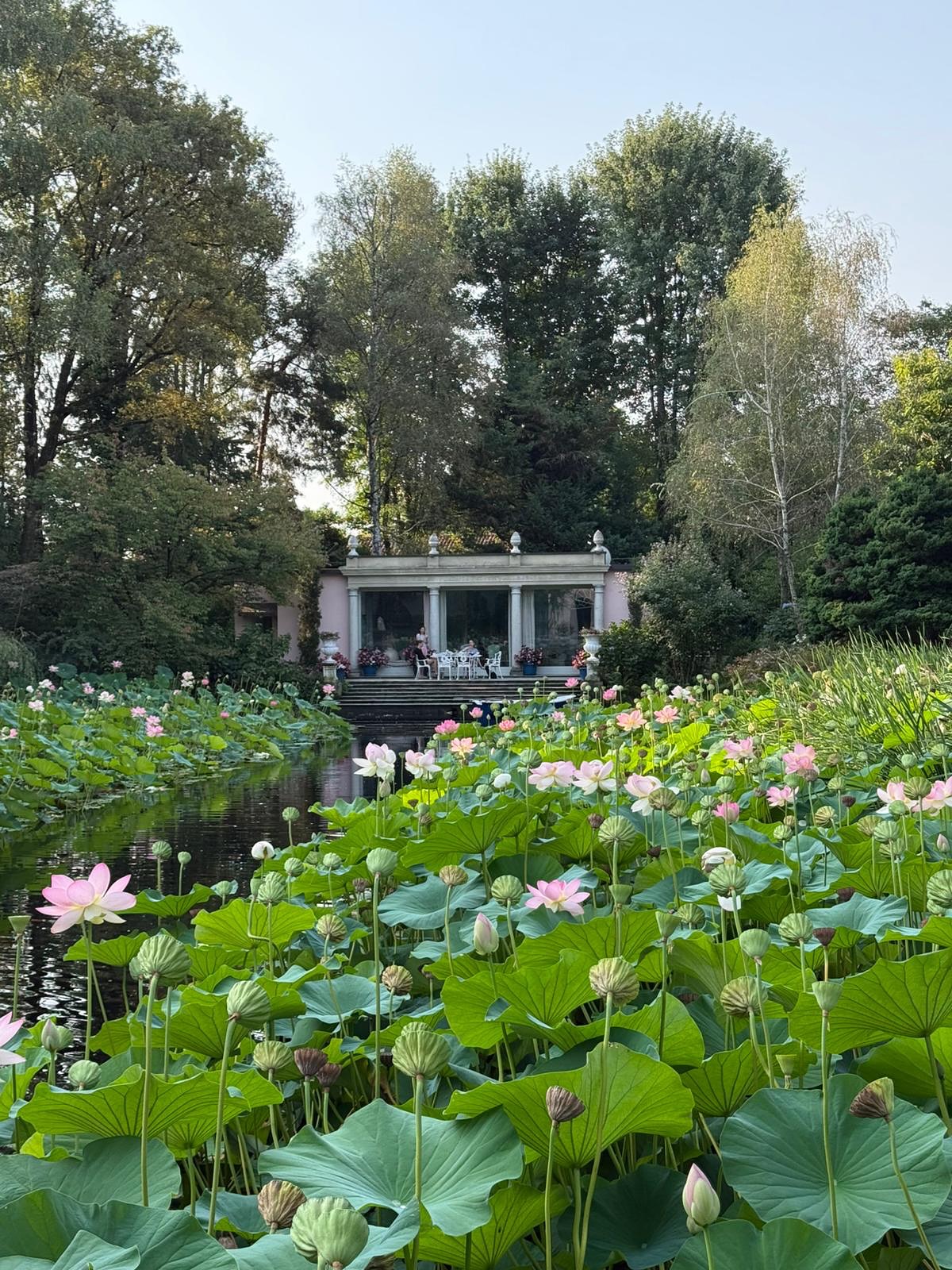 Ciao August 🥲
Ok it’s more dog content than vintage content… but no worries, now it’s back to work!!