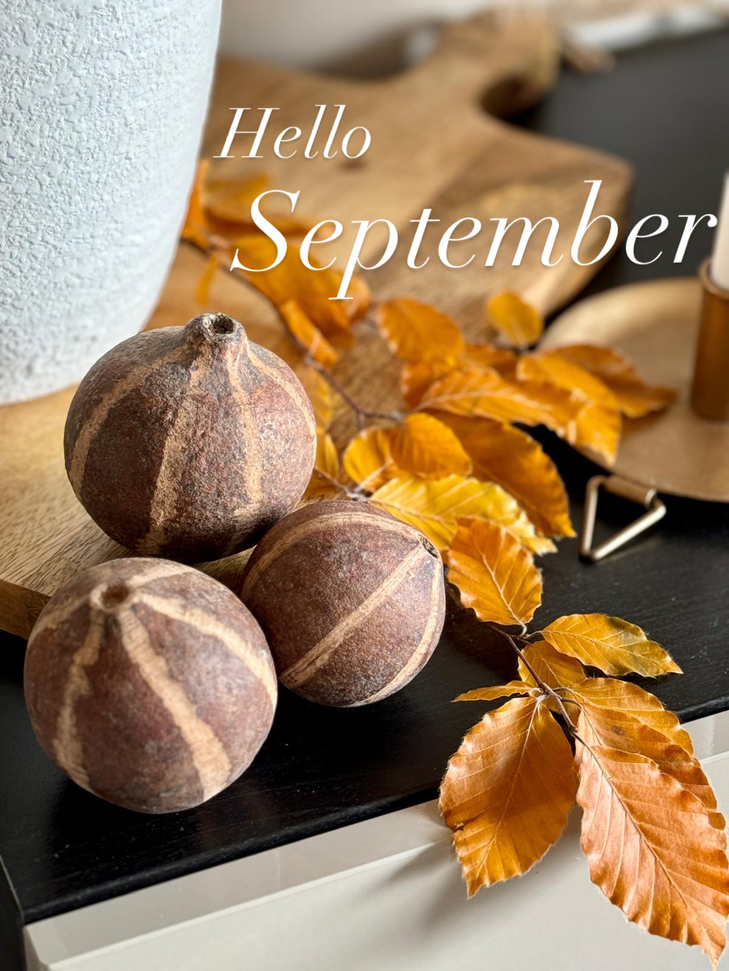 🍂 September 🍁
As the leaves turn and the light softens, we welcome a season made for slowing down, cozying up, and settling in.
Our Autumn Collection is here, inspired by home, crafted for comfort, and designed to carry you gently into Autumn. From soft textures to earthy tones, it’s everything you want to wrap yourself in this season. #HomewardLiving #AutumnAtHomeward #FallFeels #CozySeason #HomeStyle #SlowLiving #SeptemberVibes #autumnstyle