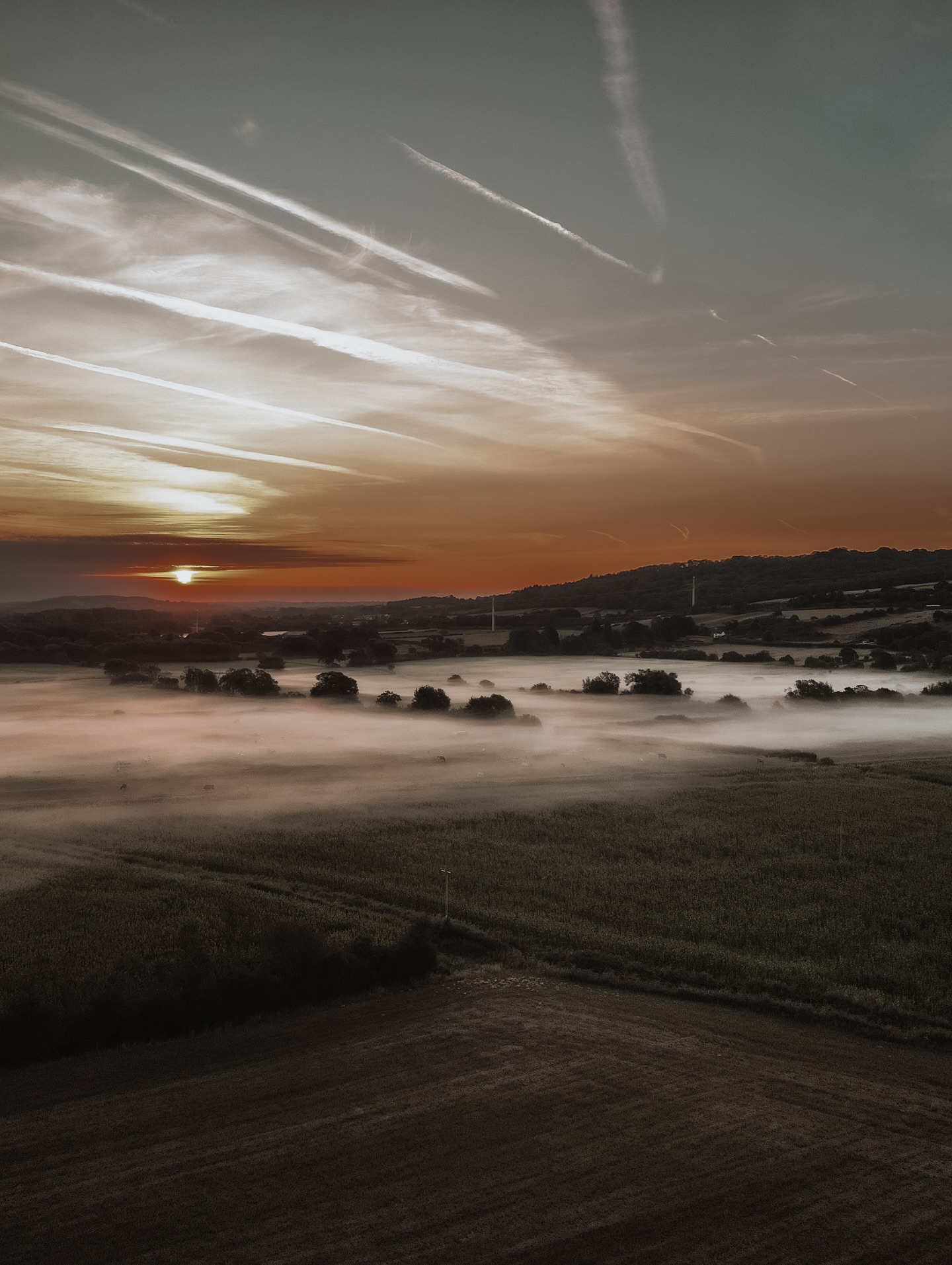 Photo Dump from the last 10 days 🎈
I caught the most stunning early morning sunrise on the drone.
My mama turned 73 and we celebrated with a Chelsea themed birthday bbq.
Arabella and argy had some real fun together in the last few weeks of the summer holidays
Took Betty Bike to the supermarket
Caught the most magical sunset with my favourite person in the world.
Climbed a tree during a long forest walk with the dogs
Got sick and let all the animals step in and care for me, they always know when you’re off your game
Think that’s about it, here’s to the next few weeks ❤️
#mylittlelife
#healingispossible