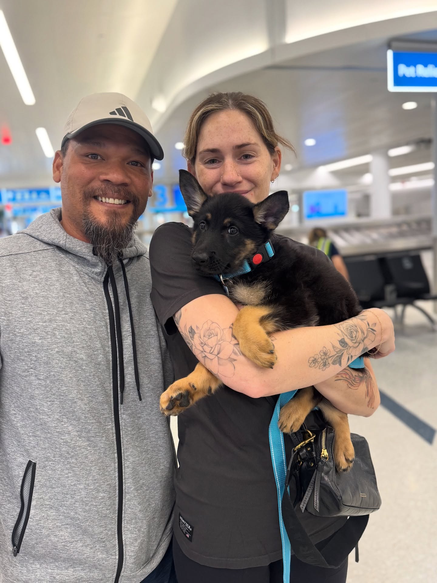 Bastian now Fenrir and Breaker now Sköll went to their new homes today!
Fenrir is an IGP prospect and Sköll is a service dog prospect 🩵🧡
(Sköll not pictured out of respect for his new owners privacy)
•
•
#germanshepherd #blackandtangermanshepherd #germanshepherdpuppy #igp #psa #akc #ukc #iabca #shutzhund #workingdog #sportdog