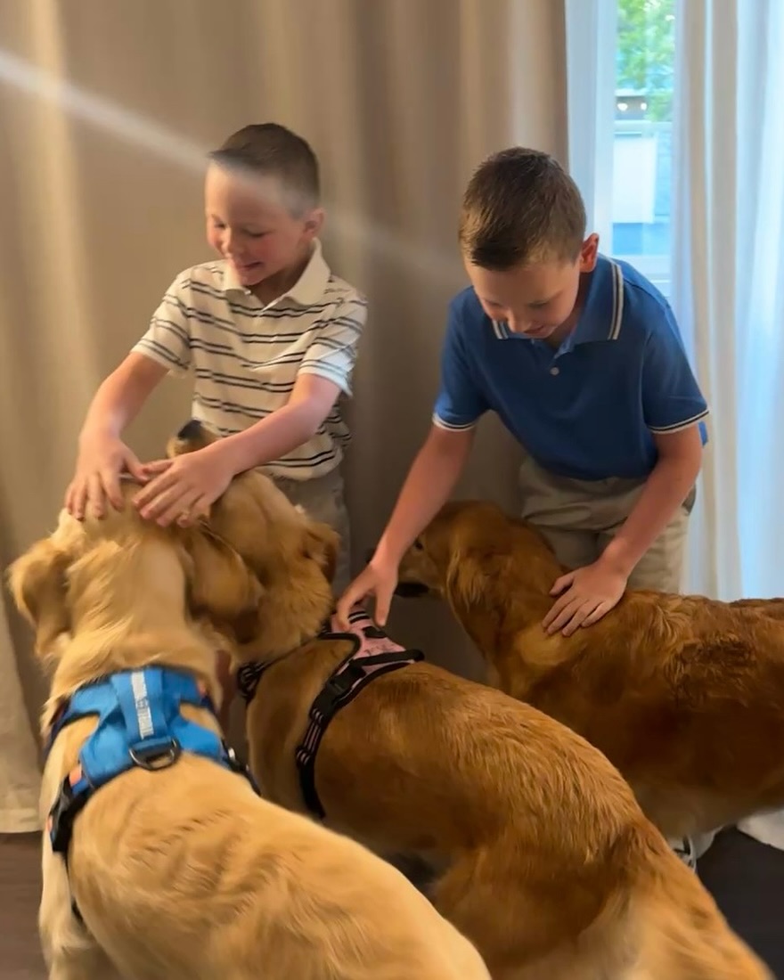 💛 Junior Handlers 💛