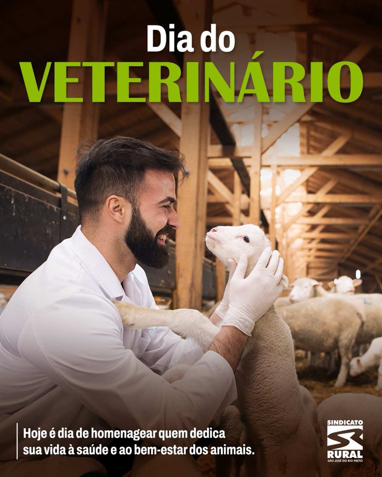 O veterinário é peça fundamental no campo, garantindo qualidade, segurança alimentar e produtividade.
Nosso respeito e reconhecimento a todos esses profissionais!
Telefone: (17) 3232-5115⠀
Site: www.sindicatoruralsjrp.com.br
#sindicatoruralderiopreto #diadoveterinário #animais #homenagem #agro #riopreto