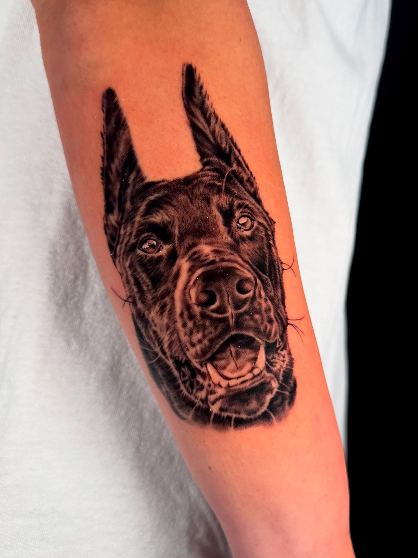 Who’s a good boy? 🙂↕️🙂↕️🙂↕️
Done in May 2025
Thank you @emilysleiman 🙏🏼
#tattoos #arizonatattoo #artizonatattooartist #femaletattooartist #blackandgreyrealism #blackandgreytattoo #petportrait