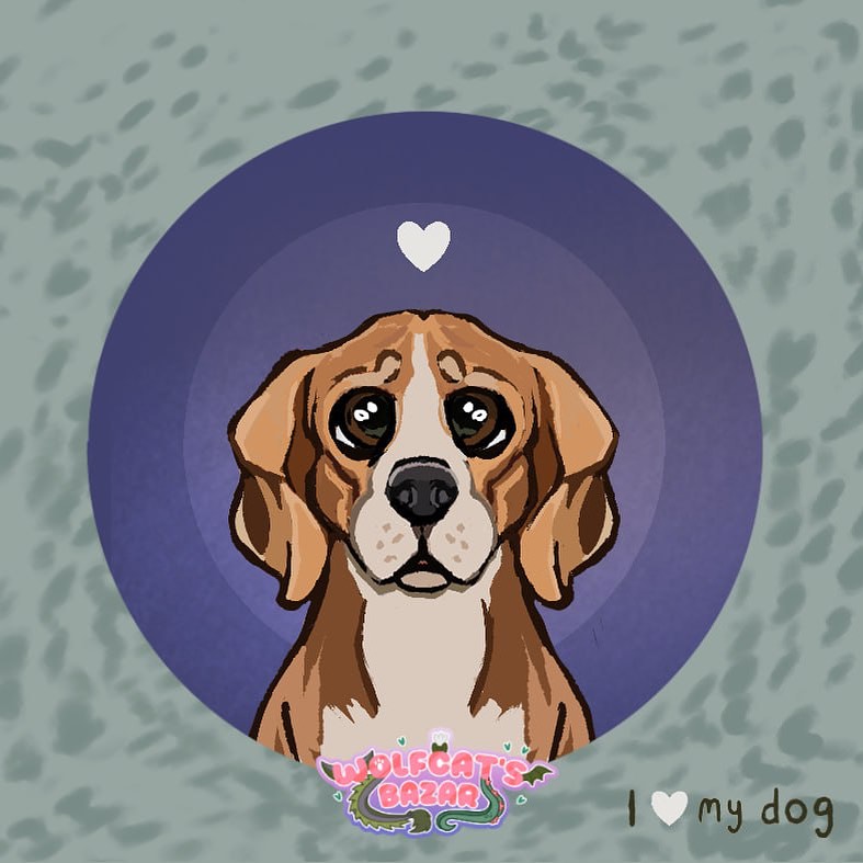 Le Beagle ⭐️