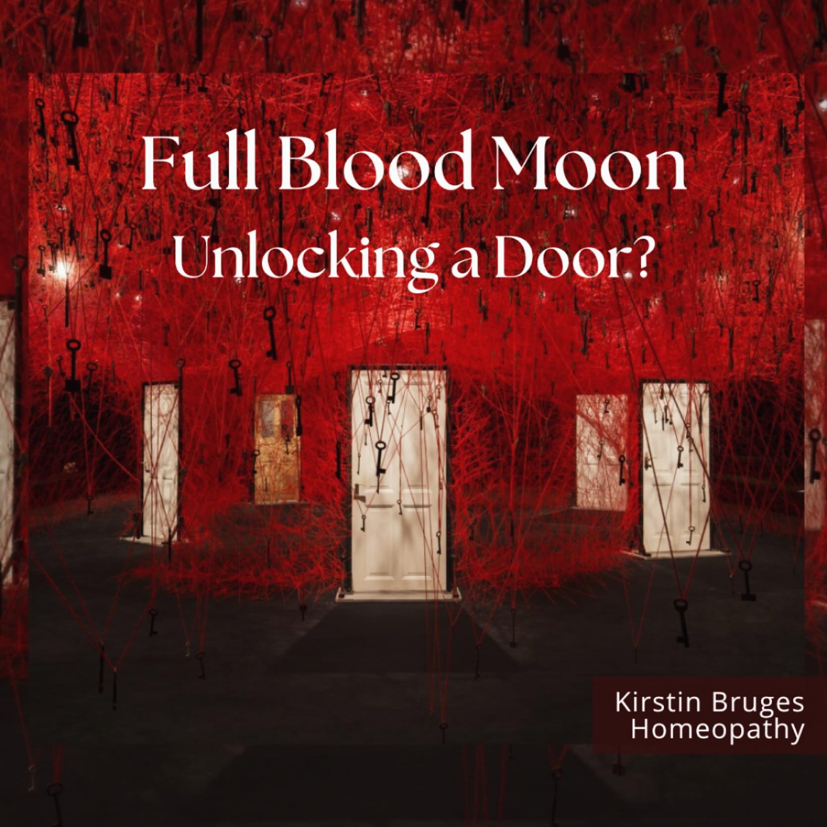 Lunar Eclipse and the Blood moon… is it all Fluid Consciousness? This brings my thoughts to a wonderful book by Homeopath, Rosina Sonnenschmidt, ‘Fluid Consciousness’ - she notes, “Blood has always been more than biology. It is memory, lineage, identity — the river of our humanity. Language itself shows how blood carries weight: out for blood, blood revenge, blood sacrifice, blue-blood, bloodline.”
In Chinese Medicine, blood (Xue) nourishes the body and anchors the Shen (spirit). Strong blood roots the mind, gives calmness and focus, and keeps us connected to ourselves. Weak or stagnant blood leaves us restless, scattered, and disconnected. Trauma, ancestral suffering, and even collective history can disturb the blood, leaving imprints we now might call “cellular memory.”
This image is of Art installation by Japanese artist Chiharu Shiota who captures it beautifully… as She describes blood as holding “everything inside of us: nationality, religion, family. This connects us, but sometimes it is also like a border.” Her vision mirrors Sonnenschmidt’s insights in the book…. Which is currently on my desk!
• Blood is fluid consciousness — Is this Blood Moon Unlocking a Door?
Again this brings it all back to MCAS, allergies, histamine, T- Cells and more… what is to be healed? What is this Full Blood Moon revealing to you today? Is their inheritance to be healed in your blood - line? To Restore your natural…flow from stagnation… and Open the Door