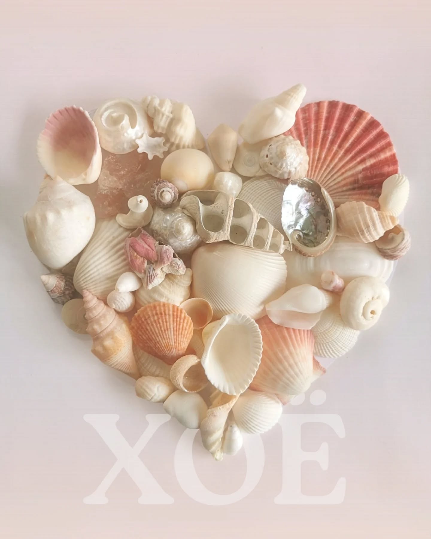If you were a shell in this heart, which one would you be? 🤍💗
This is the art of Xenia: to welcome, to hold, to create a home where soul and sea meet.