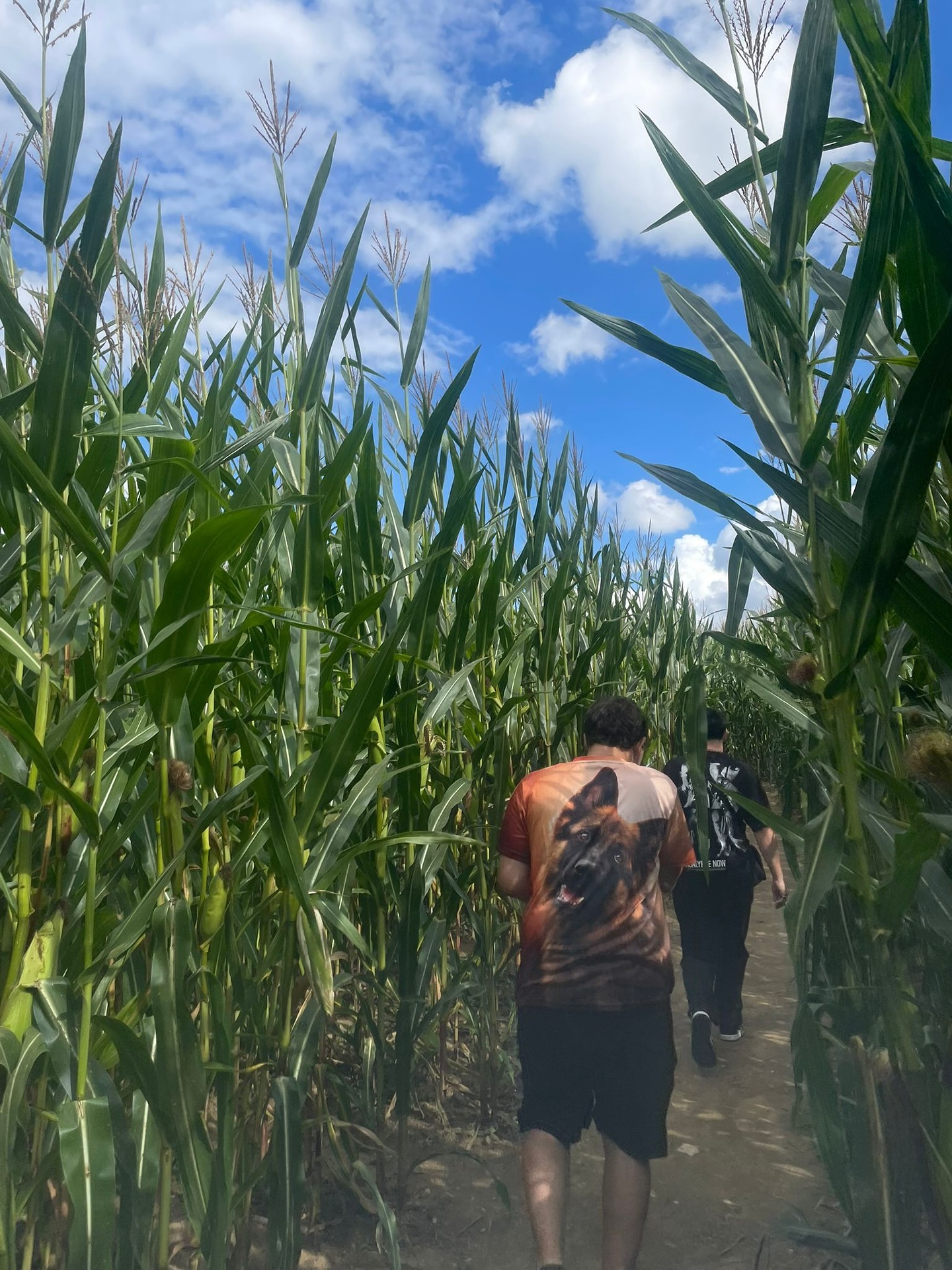 Klubová akce : návštěva kukuřičného bludiště . 🌽🌽🌽