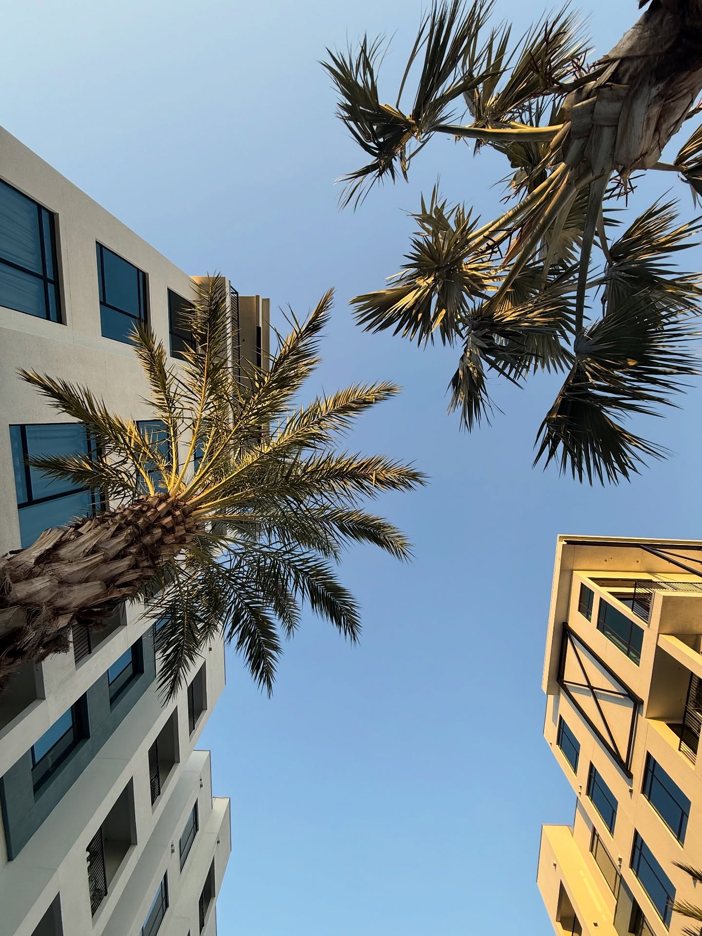 Life is amazing, it is what it should be.
6 months in Tampa 🌴
.
.
.
#tampa #tampafl #flordia #home #life #lifestyle #sun #beach #machinegunkelly #mgk #lostamericana #drake #yesindeed