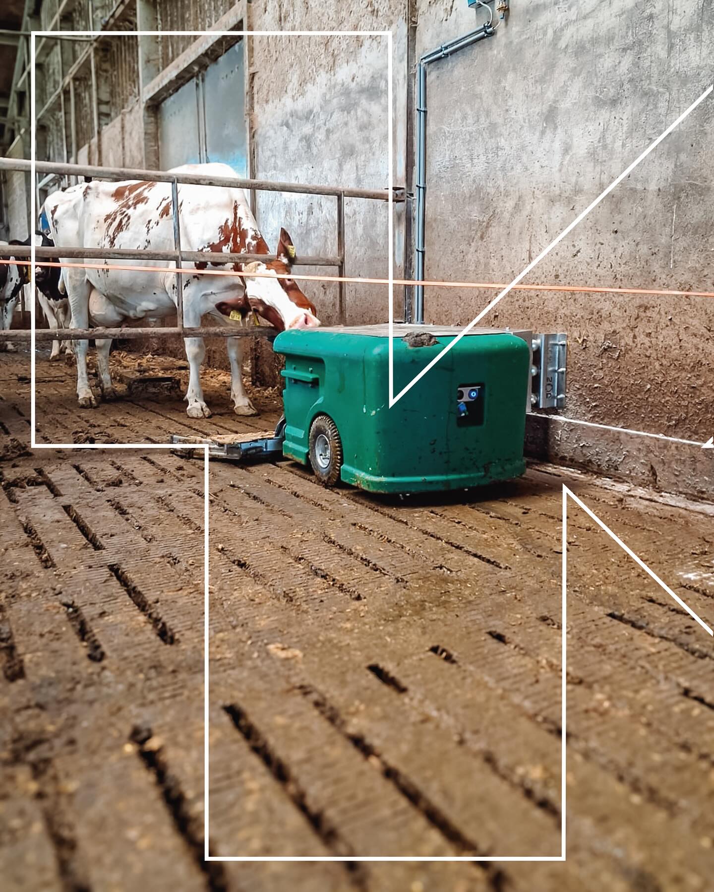 Onlangs geleverd in Janum: deze krachtige JOZ Nano mestrobot! ✨
Met een werkbreedte van 140 cm en uitgerust met een 110 liter watertank 💧.
Efficiënt, slim en klaar om het werk uit handen te nemen. 💪
•
•
#slimmestallensterkeboeren #joz @joz_homeofthecleanstable #robotisering #stalrobotisering #stalautomatisering #mestrobot