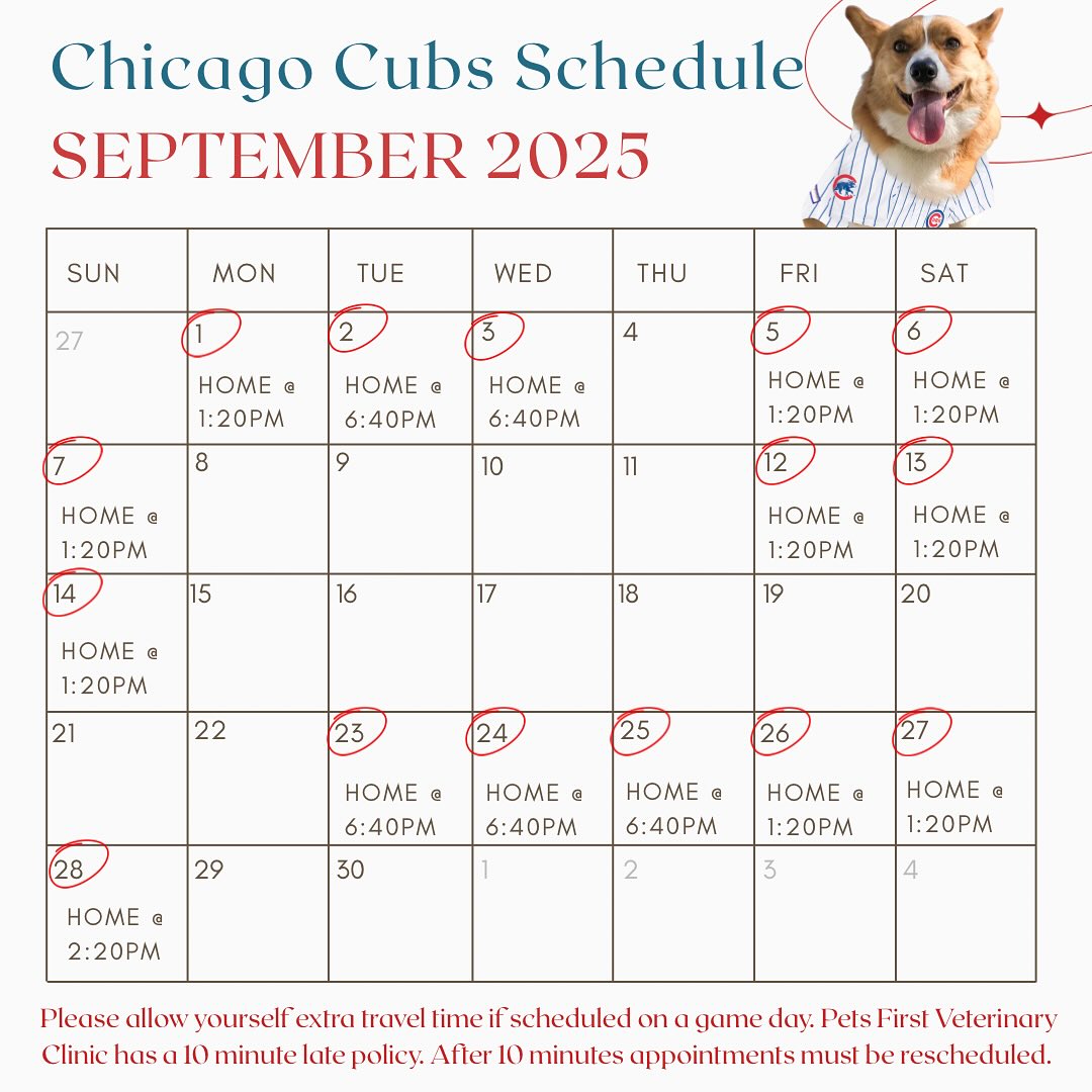 September’s Baseball Schedule ⚾️