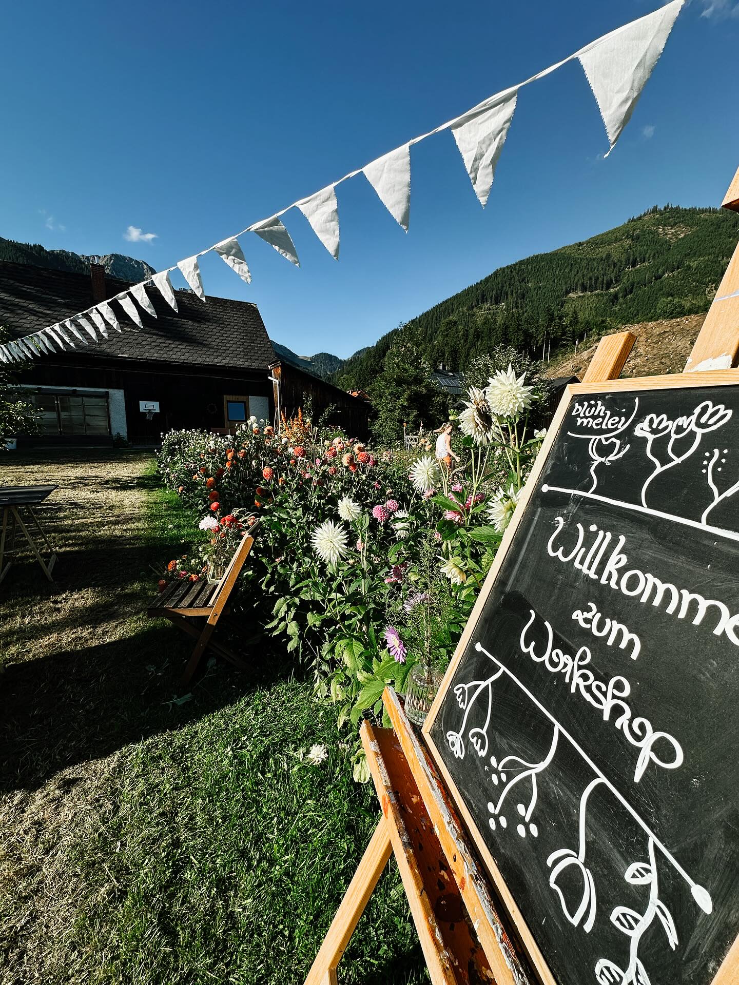 WORKSHOPTIME | Yoga und Blumen
Wie gesegnet sind wir heute vom Wetter gewesen? Und was waren da wieder für liebe Menschen bei mir im Garten? Ich bin noch ganz high!
#yogaimblumengarten #yogaundblumen #workshop #slowflowers #herbst @lisamaria.guhl_ennspired