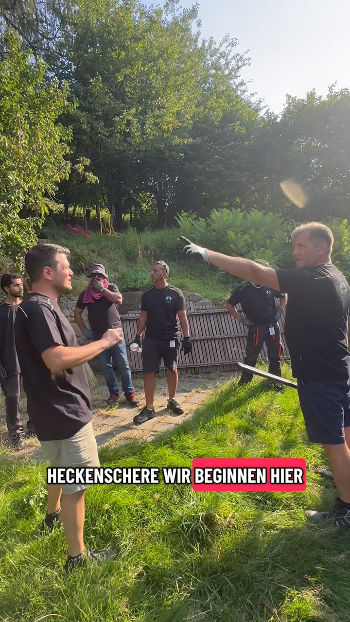 Radikaler Rückschnitt statt Schönschnitt 🌳✂️ – damit Handwerker Platz haben, der Kran die Fenster einsetzen kann und der Bauschutt rauskommt. #hausmeisterservice #reinigung #keepitclean #immobilien #handwerk