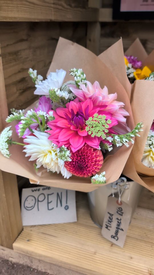 The farm stand makes me so happy 🥰
There are café au laits in this weeks bouquets, I repeat CAFÉ AU LAITS. Run, don't walk people 🤪
#britishflowerfarm #britishflowerfarmer #countrysidelife #countryside #flowers #flowerfarm #chewvalley #valleybloomsflowerfarm #organicflowers #cutflowers #valleyblooms #flower #flownnotgrown #countrylife #dahlias #britishdahlias #bouquet #farmstand #artwork #watercolour #nature