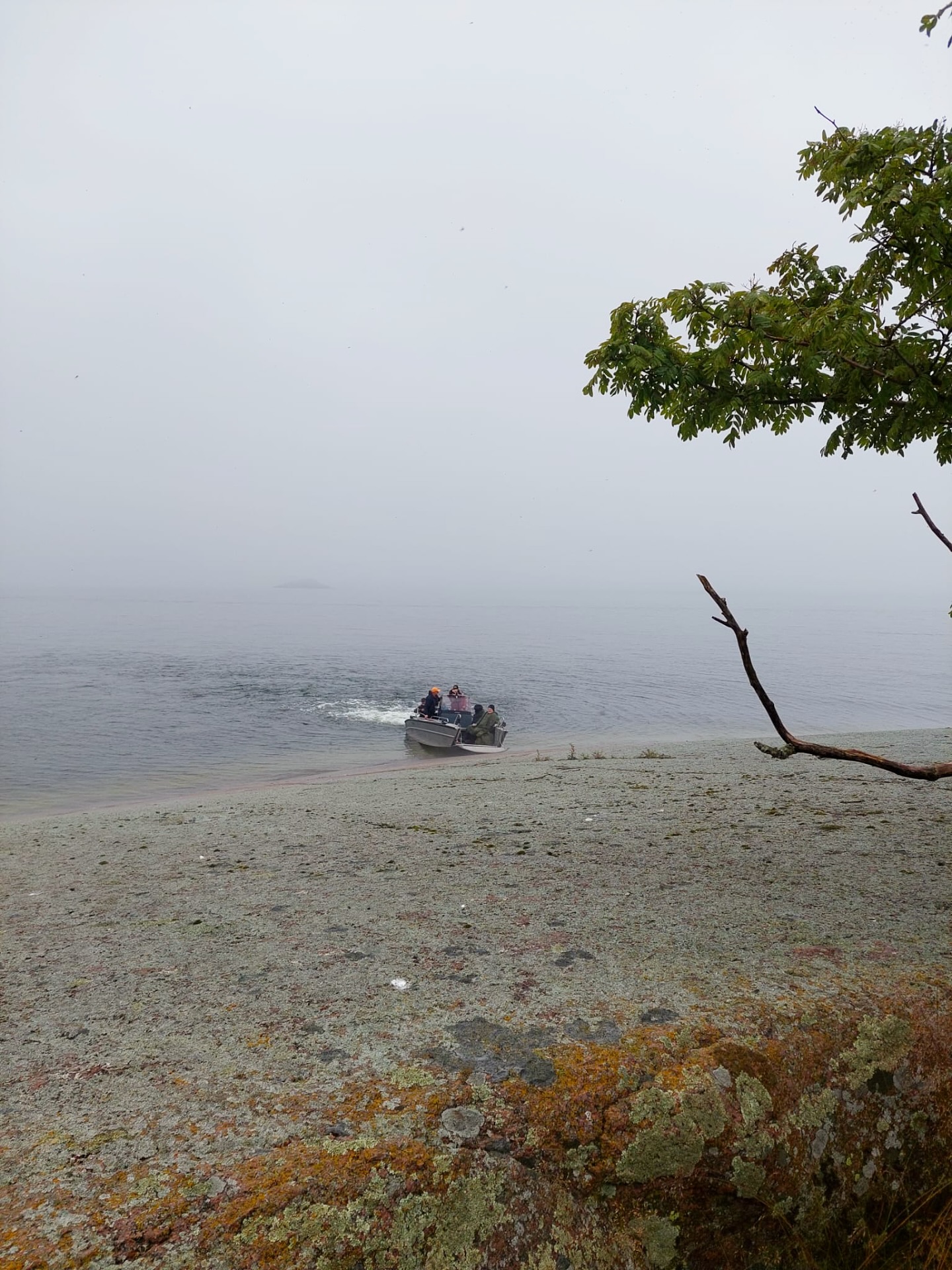 đđ€ Syksy saaristossa kutsuu!
Kun meri verhoutuu aamu-usvaan ja saaret hiljenevĂ€t kesĂ€kiireistĂ€, on aika kokea saariston todellinen taika. âš
SeaSport vie sinut rÀÀtĂ€löidylle retkelle juuri sinun toiveidesi mukaan â lĂ€hde sienimetsĂ€lle saarille, seuraa lintujen syysmuuttoa tai nauti herkullinen tuokio autiolla luodolla. đŠđđ„
Syksyinen saaristo tarjoaa rauhan, jota et muualta löydĂ€ â ja me huolehdimme, ettĂ€ saat kokea sen tĂ€ydesti. đ
đ Varaa oma syysseikkailusi nyt ja anna meren viedĂ€.
#SeaSport #VisitPorvoo #VisitPellinge #fasteraluminiumboats #fasterworkboats #veneretki #porvoonsaaristo #saaristokutsuu