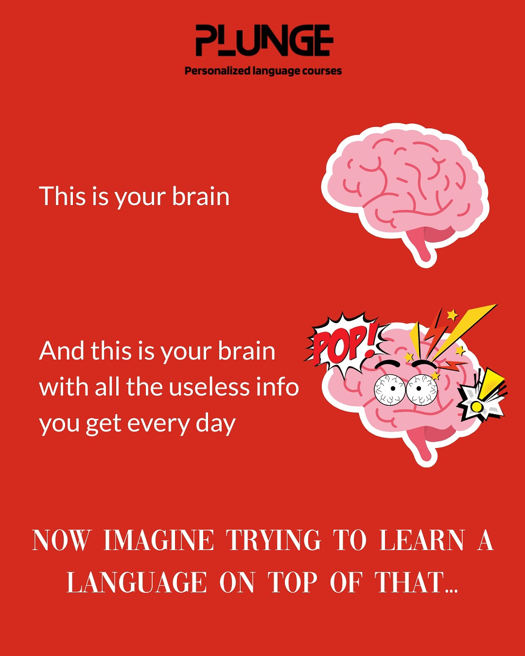 Language learning shouldn’t feel like drowning. We cut the junk and make language learning simple. Ready? DM us!