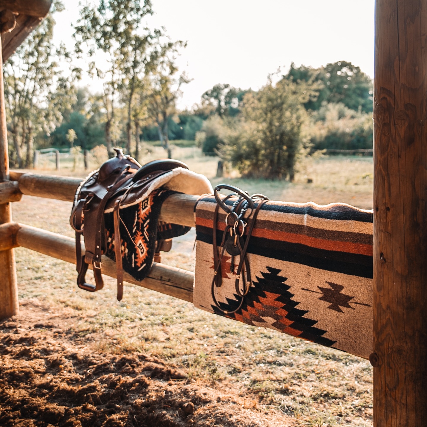 Tout ce qu’on aime… Cette selle western et notre couverture Morelia, prêtes à nous accompagner hors des sentiers battus. Ce petit frisson avant de partir, que ce soit à cheval ou à moto, c’est toujours le même : la promesse de liberté, d’aventure et de routes qui font rêver. ✨
#RideAndDream #WesternVibes #EspritLibre #SurLaRoute #HorseAndMotorcycle #AdventureCalling #westernlifestyle