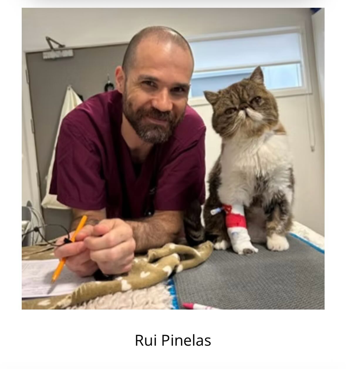 Meet your speakers for our Big Cat CPD Day in July 😻😻😻 We will introduce the whole gang individually- but rest assured we are all SO excited to host this day and meet you all 🐅🐆🦁 All the information for the event can be found on our website along with ticket bookings subject to availability 🐾⭐️