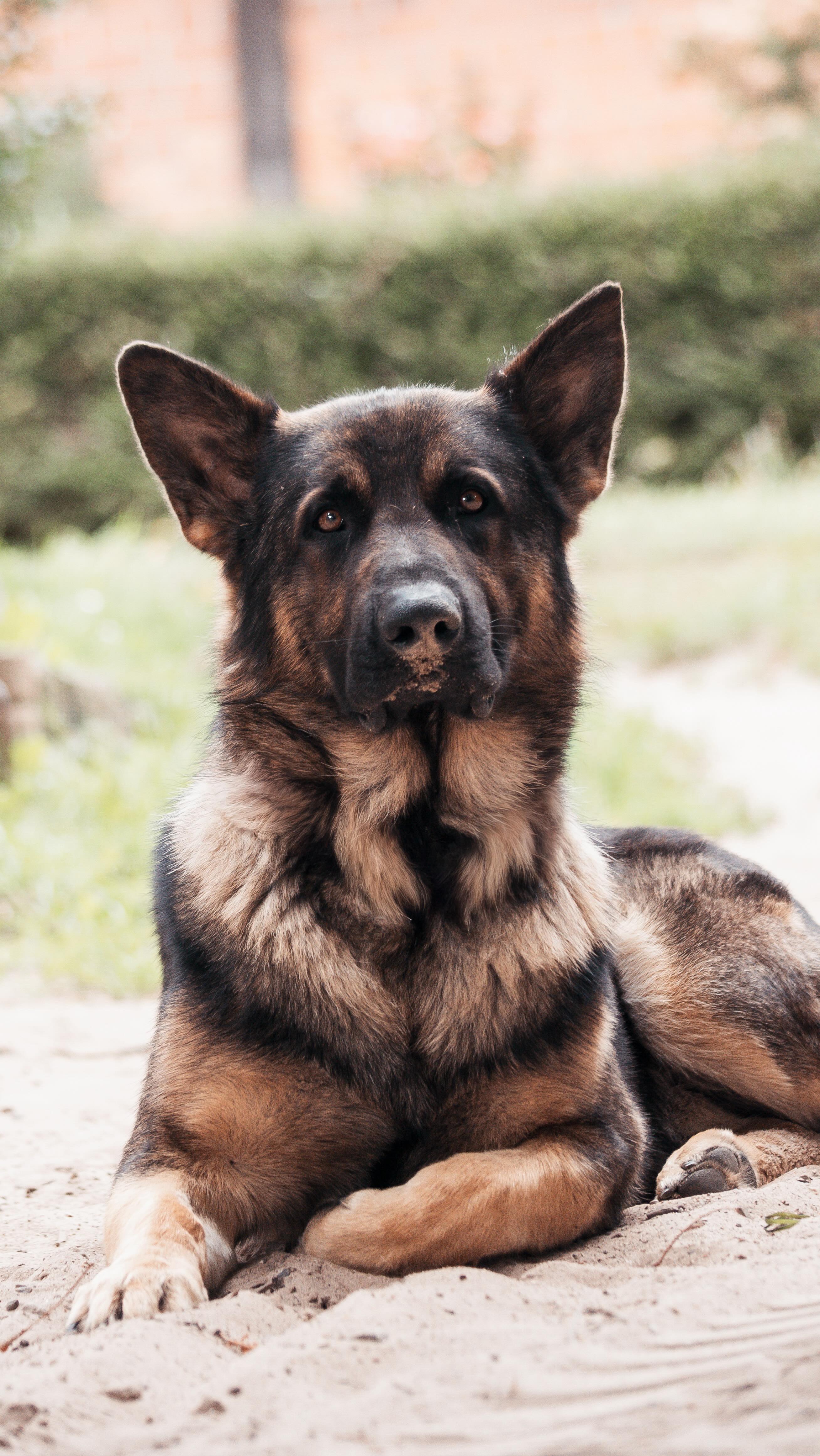 Ferien auf dem Ponyhof ☀️
Während ich schon wieder im Alltag stecke, schwelge ich noch in so vielen Erinnerungen vom Ponyhof. Auch wenn wir jeden Tag die Ferienkinde dabei hatten, ist es jedes Mal fast wie eine kleine Auszeit. ☀️
•
📧 info@tierfotografie-thueringen.de
💻 www.tierfotografie-thueringen.de
#hundefotografie #tierfotografie #thüringen #ferienlager #altkamp #rügen #prehl