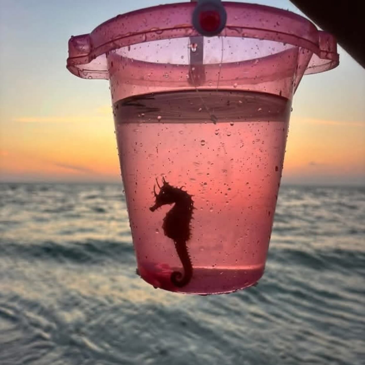 There’s beauty all around- 🙌
.
.
.
.
.
#pensacola #pensacolasmallbusiness #supportlocalbusiness850 #850 #thingstodopensacola #gulfbreeze #destin #thingstododestin #movingtonwfl #movingtopensacola #movingtodestin #fortwaltonbeach #navarre #buyingnwfl #sellingnwfl #thingstodonavarre#navarresmallbusiness #fortwaltonsmallbusiness #floribama #gulfcoast #emeraldcoast #allthingsemeraldcoast