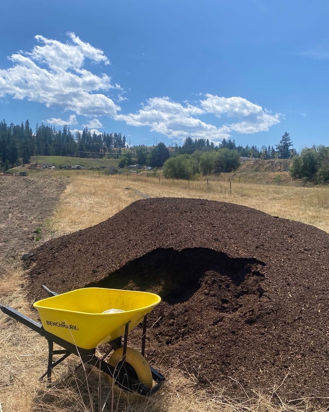 A quick shout out to this amazing organic chicken manure! The best fertilizer to help bring a balanced nitrogen heavy blend to our plants.