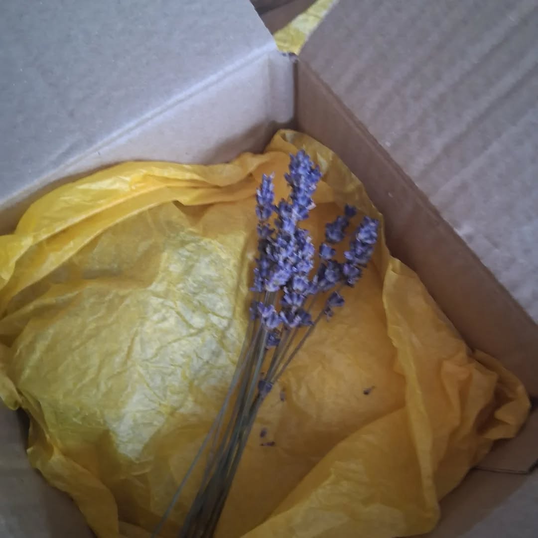Sunny Soaps Making Their Way Out The Door.
.
.
.
.
Had a number of private messages asking about soaps. I've upload the wesbite today!
.
.
.
Lemme know in the comments below which bars you'd like to see back again....
.
.
.
.
#naturalskincareproducts❤️
#handmade
#naturalskincare
#handmadebynature