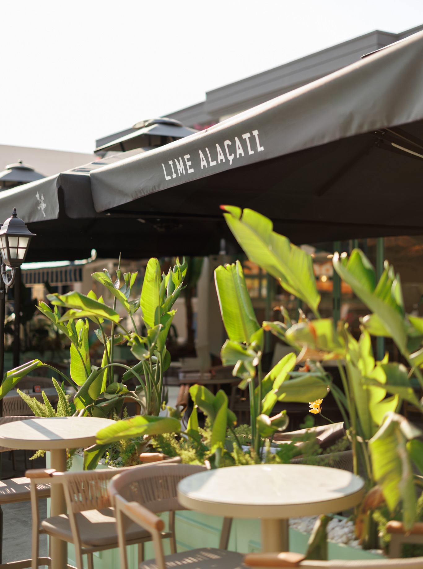Akşamüstü, hafif esen rüzgar & unutamadığımız lezzetler 🌾