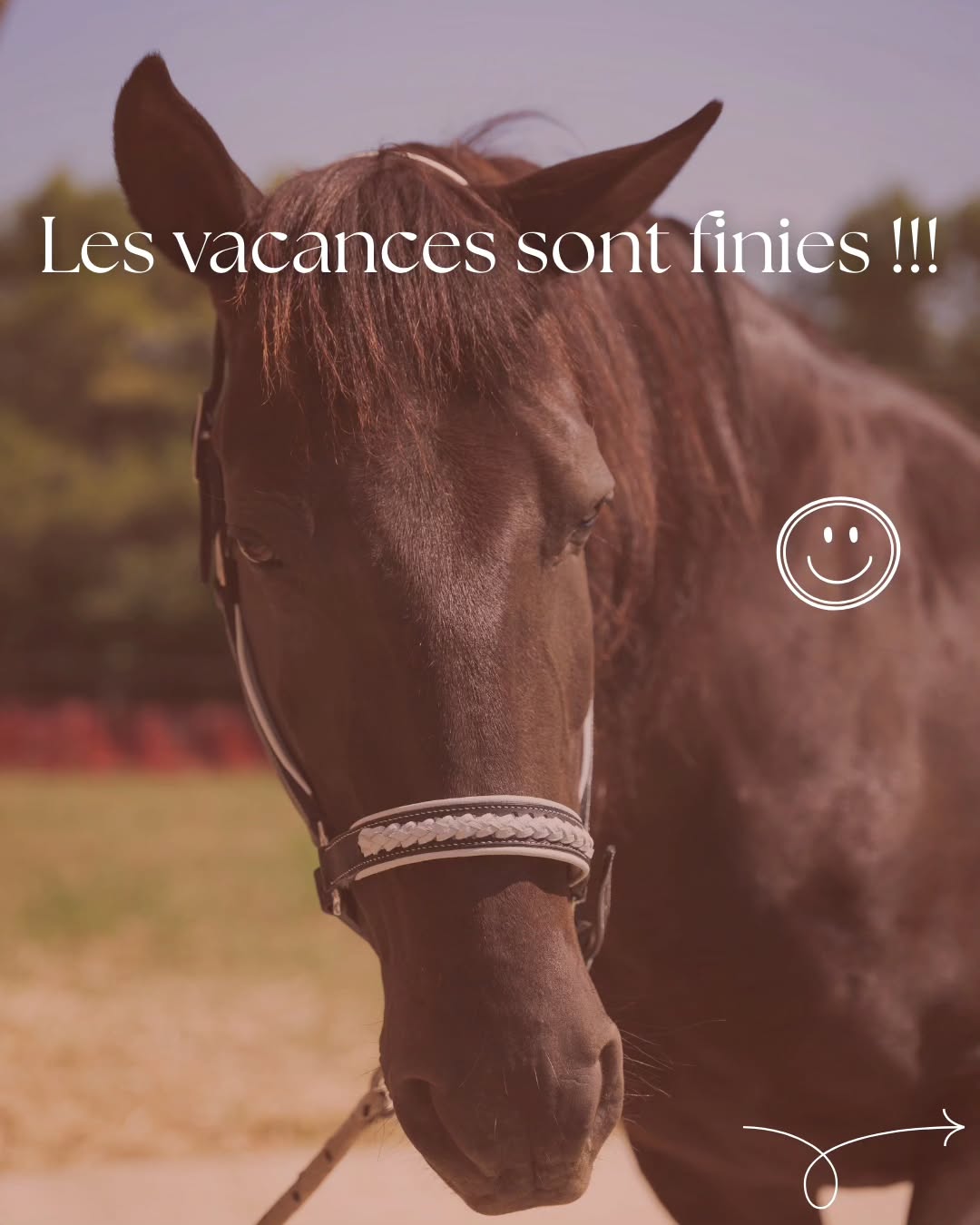📣 C’est la rentrée à l’Atelier du Haras ! ✨
Après une pause estivale bien méritée, l’atelier rouvre ses portes 🌿 (ps : j'ai repris depuis mardi mais j'ai zappé de faire la publication... la boulette 😅🤣)
Colliers, licols, bridons, ceintures et créations sur-mesure : je suis de retour pour donner vie à vos projets.
👉 N’hésitez pas à me contacter pour vos commandes ou pour des renseignements.
🐴🐶 Rouka, Ciclon et Héra sont eux aussi prêts à reprendre la pose pour présenter les nouveautés ! 🐾
👇Dîtes moi en commentaire si vos vacances se sont bien passées😁👇
À bientôt 😘
#latelierduharas #rentrée2025 #creationfaitmain #madeingard
#artisanfrancais #SellierHarnacheur #chien #Cheval #Cuir #surmesures