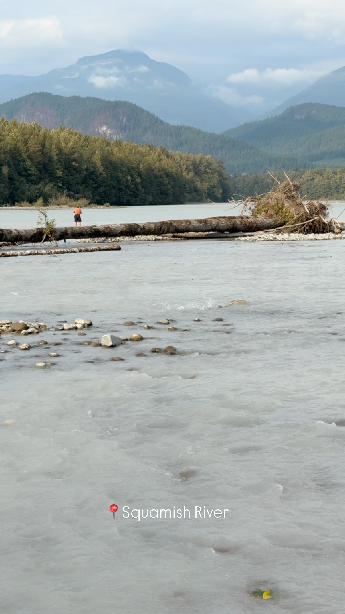 It’s a busy Squamish River this salmon season 🥹 such a unique thing to witness in your own backyard, year after year.
#squamish #salmon #pnwlife #fishingdaily #exploremore