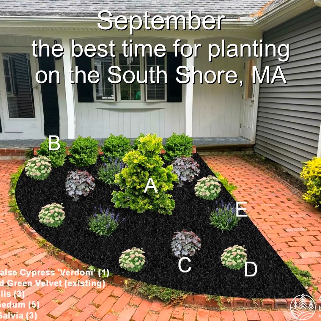 September: The Best Time for Planting on the South Shore, MA.
Green Giant Landscaping,
Southeastern, MA.
Call now for your free quote!
Land clearing
Planting
Tree and shrub care
Seasonal cleanups
Old overgrown shrubs removal
Mulch installation
Garden maintenance
Weed barrier fabric
Bobcat services
Professional Landscape Design.
https://www.greengiantlandscaping.com/post/september-the-best-time-for-planting-on-the-south-shore-ma
Phone:
+1 413-406-9094
#landscaping #landscapedesign #gardening #gardendesign #landscaper #landscapearchitecture #treeandshrubtrimming #mulch #Massachusetts #southshore #newton #boston #hingham #marshfield #scituate #NewtonMA #scituatema #milton #canton #wellesleyma #SpringCleaning #shrubtrimming #shrubcare #plantingdesign #gardentransformation #springcleanup #mulching #cobblestone #cobblestoneedging