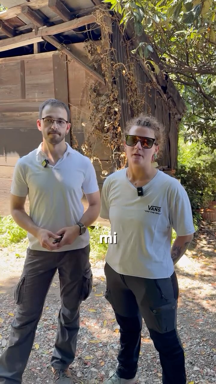 🌟 Abbiamo chiuso in bellezza con la nostra ultima classe di socializzazione®️ prima della pausa estiva!
I nostri fantastici cani hanno dimostrato sempre maggiore sicurezza e competenza, crescendo insieme alle loro famiglie.
Non perdete l’occasione di unirvi a noi per la prossima classe, in programma per il 14 settembre.
La socialità è un percorso continuo che arricchisce la vita di tutti!
Un grande grazie a tutti coloro che hanno reso possibile questo successo: cani felici, famiglie unite e il nostro eccezionale team!
Se desideri partecipare alla nostra prossima avventura a settembre, contattaci subito!
#classedisocializzazione #socializzazionecanina #fotocani #socialitàelibertà #canefelice
@scuolathinkdog @angelovaira @manuregazzi @verrydogs