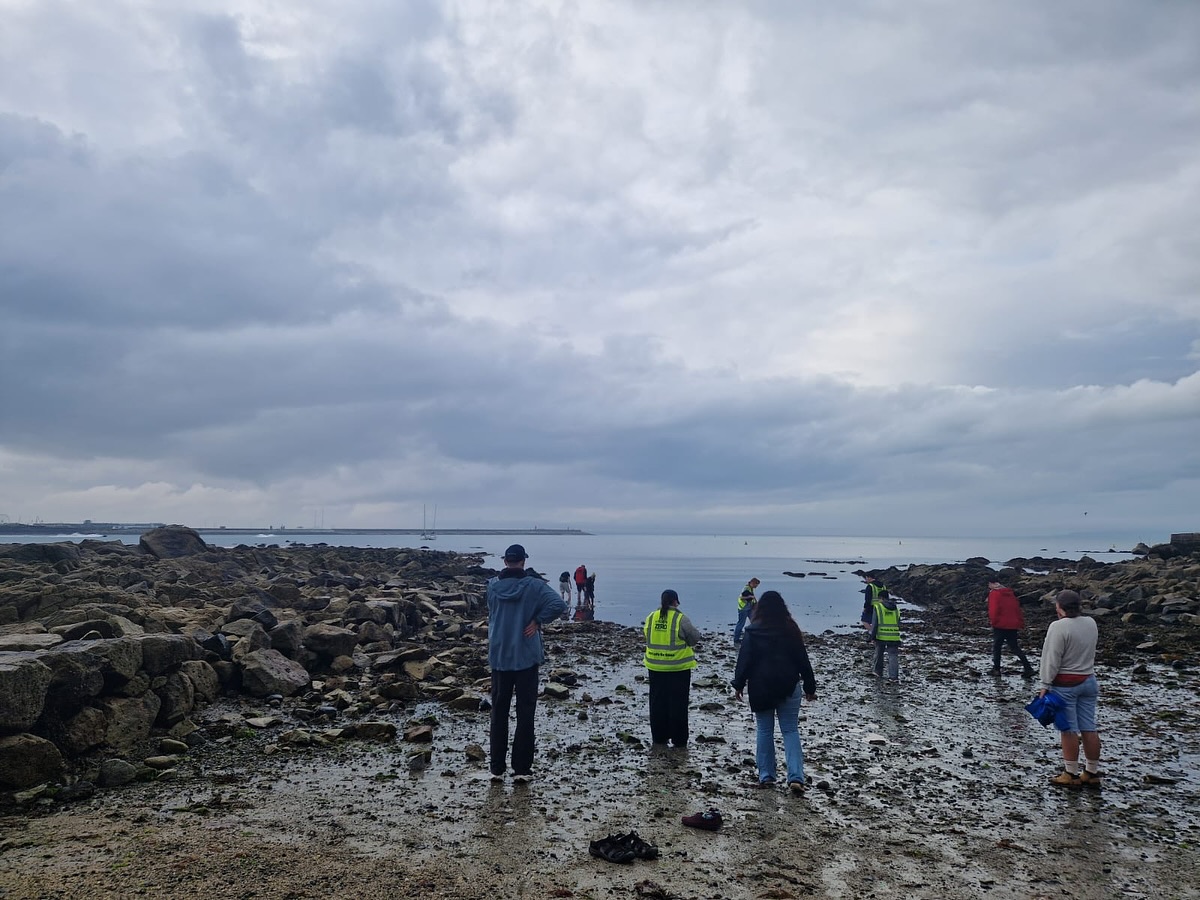 Just over a week ago, Coastwatch joined the Bioblitz in Dun Loaghaire, an event where local nature enjoyers go out and identify as many species in the area as possible as part of @nationalheritageweek 🌿
The National Biodiversity Data Centre, @biodatacentre verifies people’s finds and adds all the gathered information to the database, a great practice for the upcoming Coastwatch Autumn surveys!
Joined by the lovely volunteers from the INSS @insssailing (Irish National Sailing School), Polish researchers from MARBEFES @marbefes , and @universitycollegedublin students and professors, we covered the beaches between Seapoint and Sandycove
We had the unique opportunity to observe seagrass growing in this area, one of the few spots on the East coast of Ireland where this lovely key species occurs
Big thanks to UCD, MARBEFES and the INSS for having us! 🌊