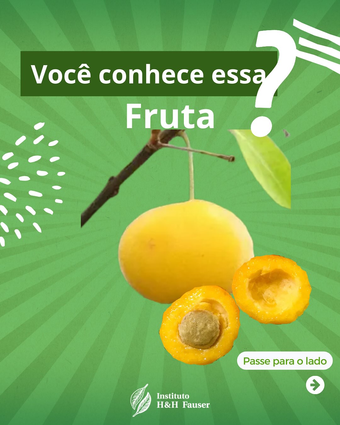 Essa é a uvaia, uma das muitas frutas nativas da Mata Atlântica que fazem parte da nossa história, cultura e biodiversidade!
Rica em vitamina C e Vitamina A e com um sabor marcante, oa uvaia é uma fruta que pode ser usada em sucos, geleias, bolos e até molhos salgados!
Em Paraibuna, ele começa a ganhar espaço também na alimentação escolar.
Porque escola também é lugar de saborear a natureza! 🌱
📢 Conta pra gente: você já provou Uvaia? Se sim, o que achou?
⠀
Realização do @ihhfauser com apoio da Prefeitura de Paraibuna, projeto realizado por meio do #ProgramaMovimentoSustentavel.
#Uvaia #FrutasNativas #EducaçãoSocioambiental #Paraibuna #MataAtlântica #Sociobiodiversidade