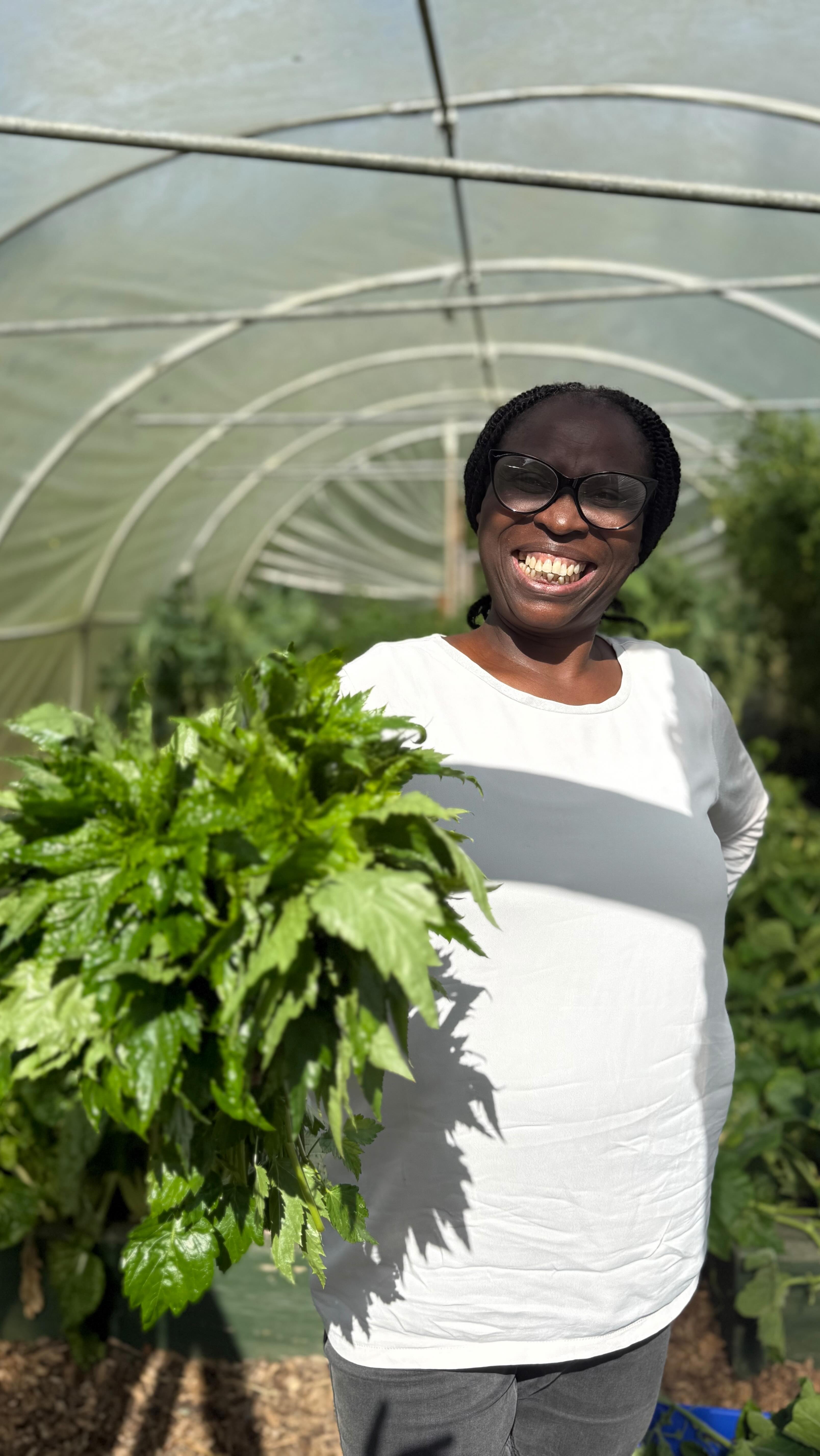 🌿✨ Jute Leaves – The Green Superfood! ✨🌿
Also called Ewedu, Molokhia, Saluyot, Mrenda… this humble leaf is packed with power 💪💚
🥦 Nutrition Benefits
• Rich in vitamins A, C & E → strong immunity & glowing skin ✨
• High in iron & folate → boosts blood health ❤️
• Good source of calcium & magnesium → strong bones 🦴
• Packed with fiber → aids digestion 🌱
• Contains antioxidants → fights inflammation & keeps you young 🌞
🌱 How to Plant
1. Plant jute seeds directly in moist, fertile soil.
2. Loves warm climates & sunshine ☀️
3. Grows fast – ready to harvest in 4–6 weeks!
4. Harvest young tender leaves for the best taste 🌿
🍲 How to Cook
• In soups & stews (slimy texture like okra) 🥣
• With tomato, garlic & spices – classic Molokhia soup 🍅🧄
• Lightly sautéed as a side veggie 🥗
• Blended with fish or meat broth for rich African dishes 🐟🍖
✨ Fun Fact: Ancient Egyptians called it the “food of kings” 👑
Would you taste jute leaves if you had the chance? 🌿👇
#JuteLeaves #Ewedu #Molokhia #Superfoods #AfricanCuisine #GardenToTable