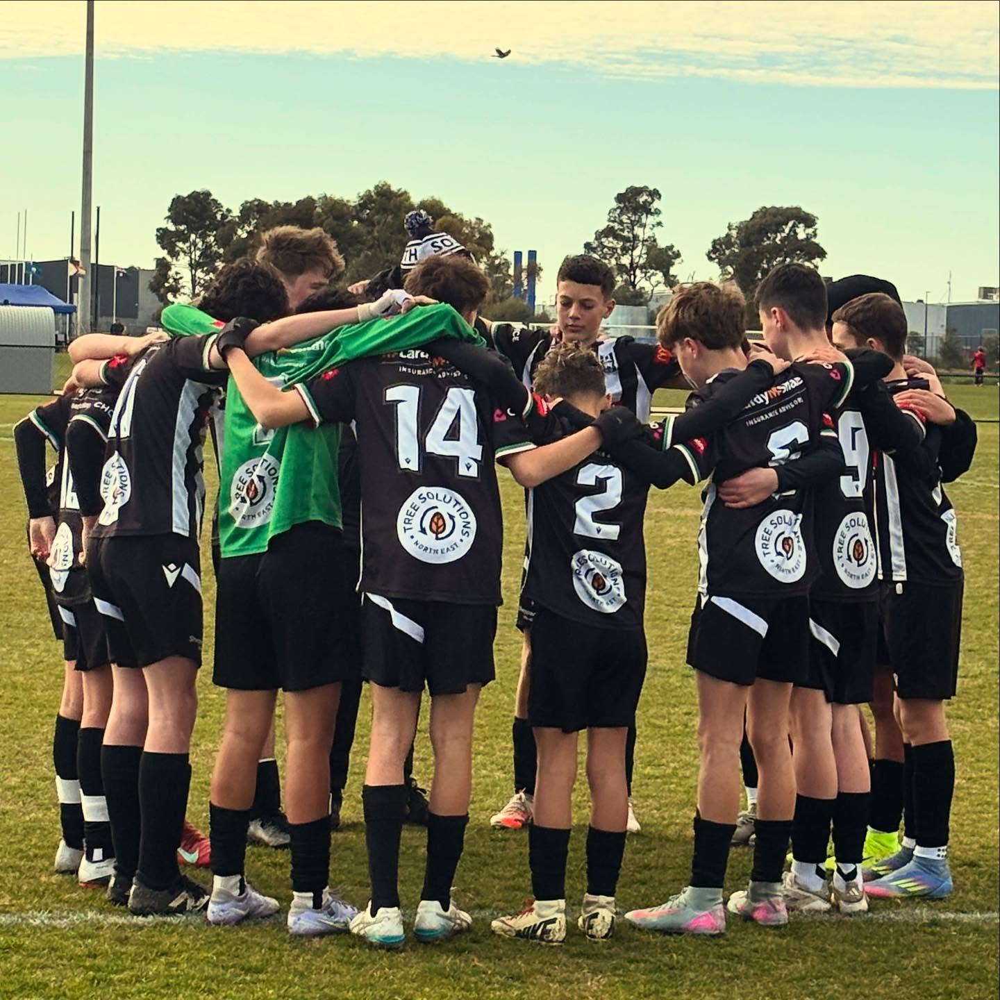 Letโs go South!
#sheppsouth