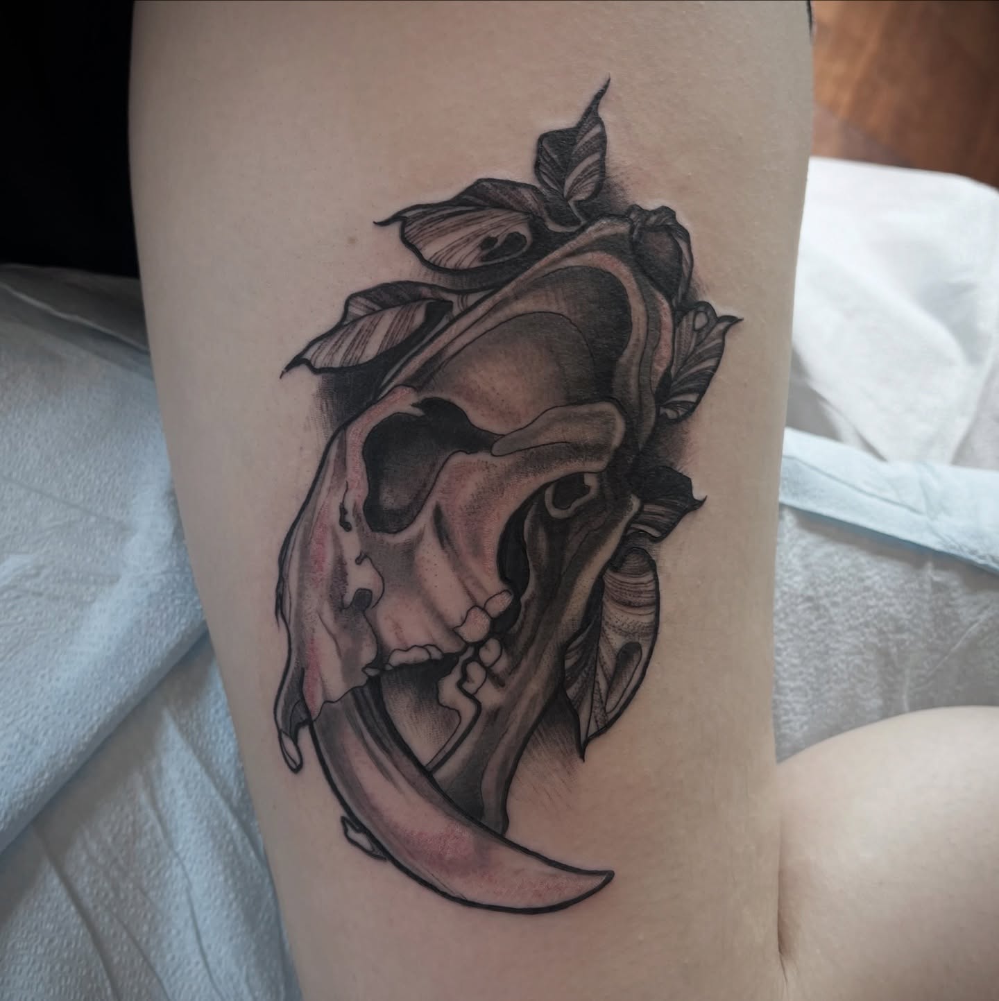 SABERTOOTH CAT SABERTOOTH CAT SABERTOOTH CAT SABERTOOTH CA
#prehistorictattoo#sabertooth#sabertoothtiger#sabertoothcat#fossil #tattoo #girlswhotattoo #kentuckytattooers #neotradtionaltattoo #illustrativetattoo #eternalinks#procreate#bishoprotary#paducahcreativecity#neotrad