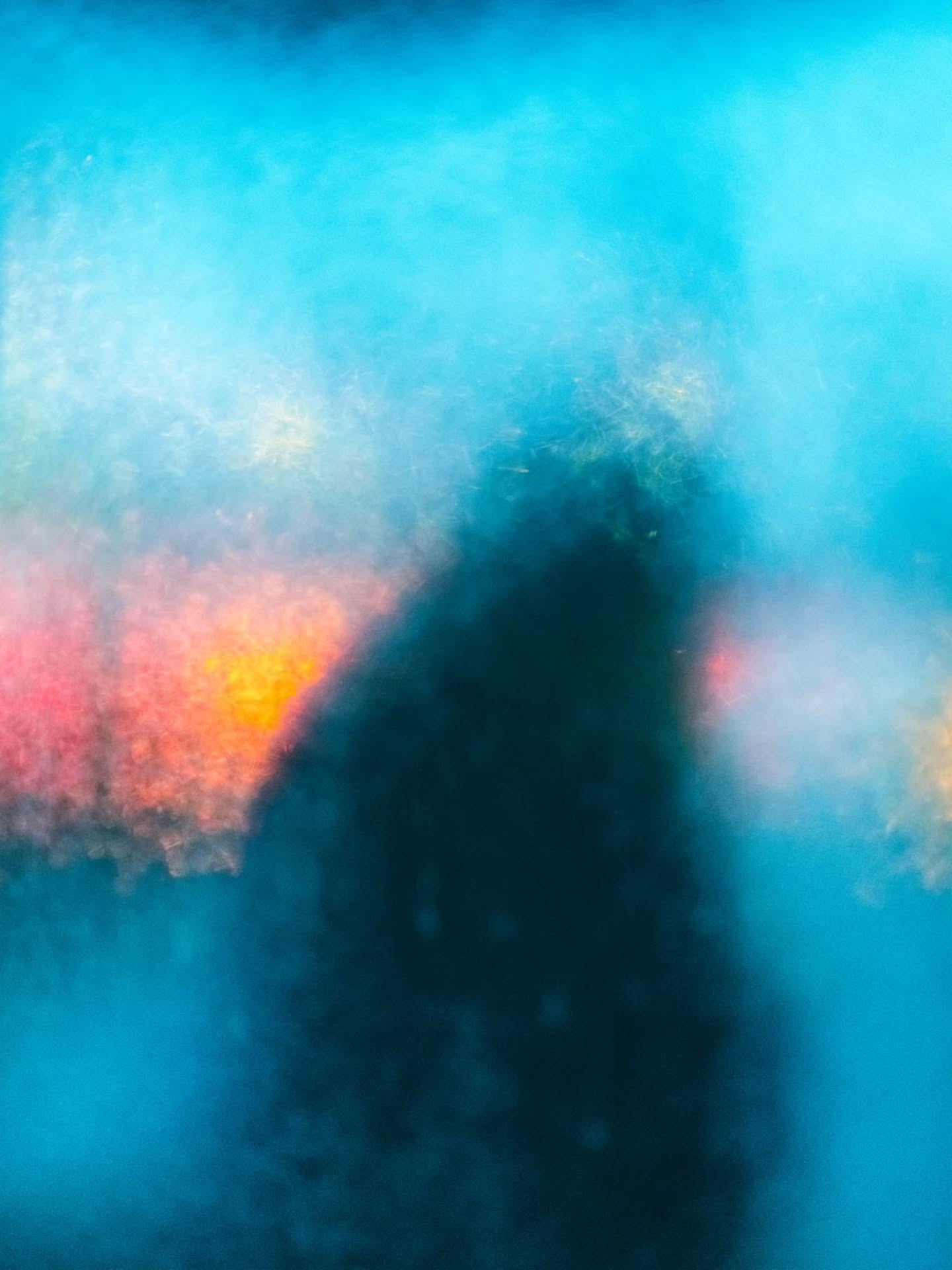 FOCUS.
#streetphotointernational #streetscenesmag #bordeaux #bordeauxmaville #bordeaux_focus_on #fujifilm_xseries
@simpleisbeautifulphotography