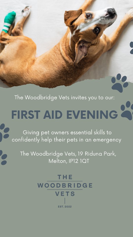 ✨ Our very first First Aid Event was a HUGE success! ✨
Thank you to everyone who joined us at The Woodbridge Vets to learn about pet emergencies and first response care 🐾💙 The feedback has been amazing, and we’re so grateful for the support of our wonderful clients and team!
Missed out? Don’t worry — more events are coming soon. Stay tuned! 👀
#PetFirstAid #WoodbridgeVets #independentpractice #veterinarymedicine #veterinarypractice #veterinarycare #animalcare #dogs #cats