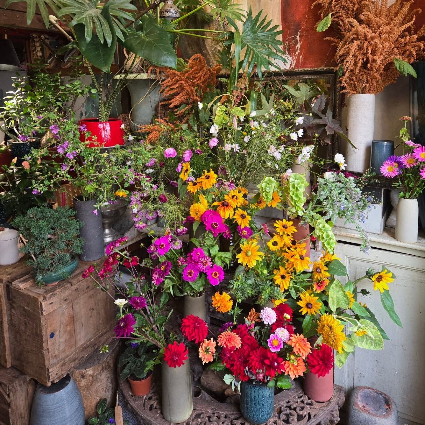 Fleurs 100% parisiennes cultivées à @lobservatoire.paris / récolte du jour