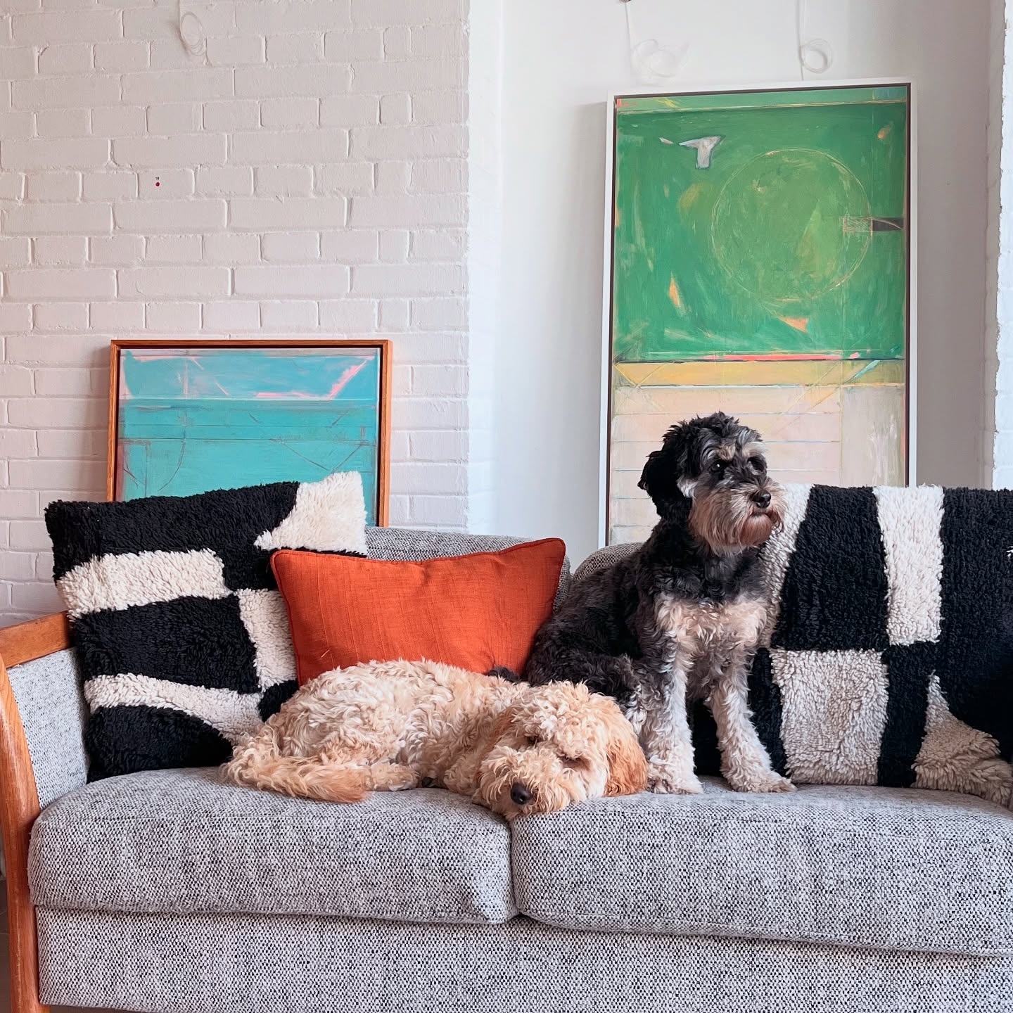 This is what happens between shows at our place… a rehang and a good runaround 🐶
#dogsofinstagram #cockapoo #artgallery #rehang