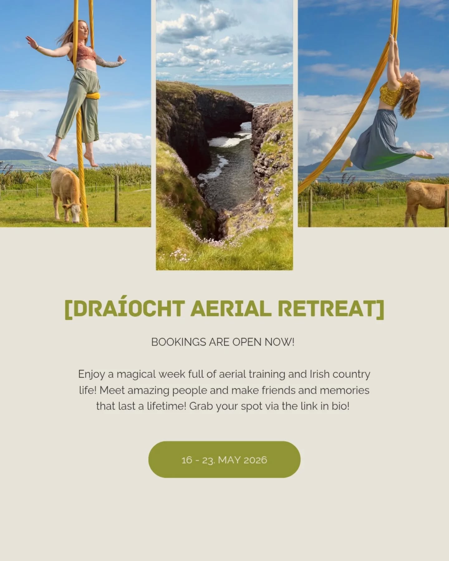 ✨ Bookings are officially open! ✨ From today, you can secure your spot for the Aerial Draíocht Retreat 2026 in Ireland 💫
🌿 Only 12 limited spots – first come, first served!
🐦 Early Bird Pricing is available until December 31, 2025 – book now via our website (👉 link in bio).
What to look forward to:
🤸♀️ Daily aerial training
📸 A magical photoshoot to capture your experience
🌊 The breathtaking wild beauty of Ireland’s west coast
🔥 Fun activities like surfing and meeting the cows
🏠 A beautiful luxury accommodation directly by the sea @sligoseabarn
🌿 Delicious homemade vegan food
☁️ Space to breathe, rest & recharge
This retreat is more than just training – it’s a little piece of Irish magic to carry home with you. ✨
We can’t wait to welcome you 💕
📅 Aerial Draíocht Retreat – Ireland, 2026 👉 Bookings open now via the link in bio!