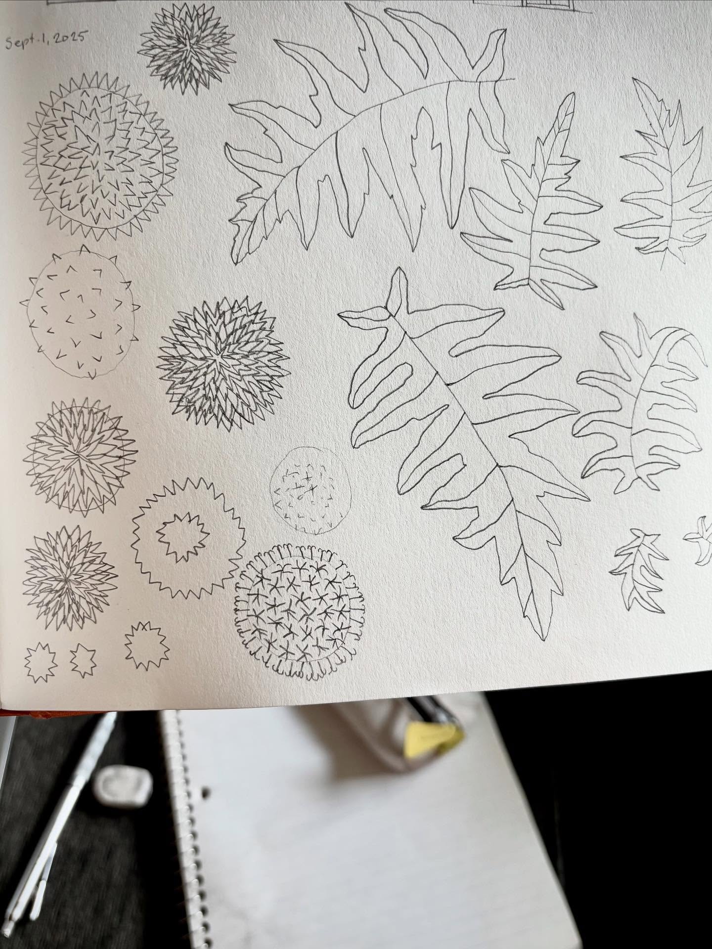 Sketches of globe thistle from my garden. Love this flower!