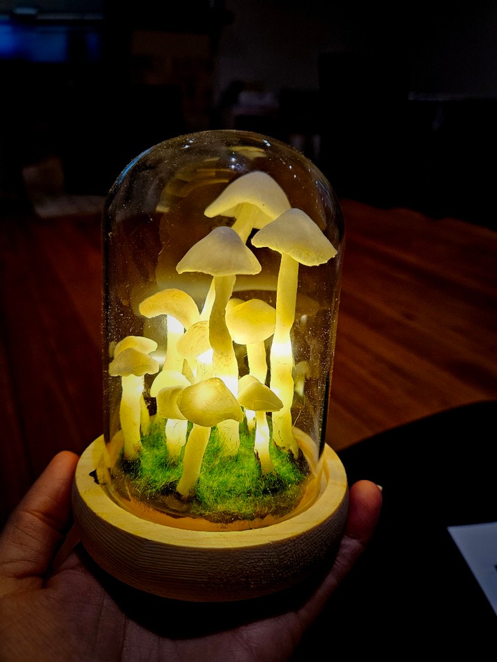 🍄 Mel’s mushroom lamp has officially levelled up into full-on enchanted mode!✨ Look at that magical glow! It’s giving major fairy garden vibes.🧚
#MushroomLamp #DIYLighting #CraftKit #MagicalDecor #Handmade