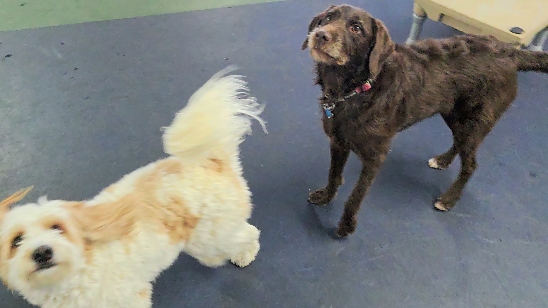 Starting our day in Wonderland