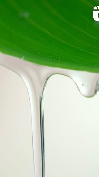 🌸Aunque fue creado pensando en cabellos rizados y afro, nuestro Shampoo Afro Plus es tan hidratante y gentil que también es ideal para las lacias y para todo tipo de textura.✨💦Este shampoo limpia con delicadeza, hidrata profundamente y respeta la textura natural de tu cabello, ya sea rizado, afro o lacio. 💞. 💦Hidratación intensa
🌿Fórmula nutritiva
✨Rizos definidos y puntas sanas. Porque cuidar tu cabello es amarlo en cada lavado.🫶🏻. #AfroPlus #HairPlusRD #RizosConAmor
#HairPlusArmy#hairplus #hairplusnj #hairplusnewjersey