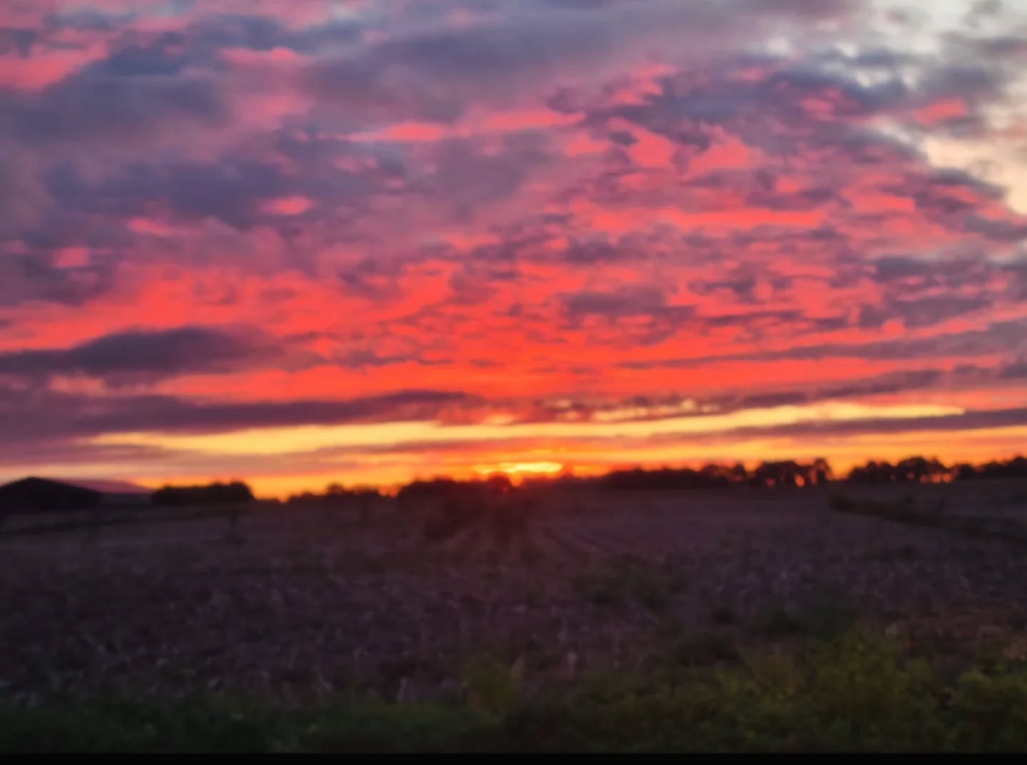Moin, Moin!
Ein schöner Tag fängt bei uns meist so an.
Heute leuchtet der Himmel in unseren Farben!
#ambulanterpflegedienst #pflegeteamsteinfeld #landliebe #goodmorningsunshine #pflege #moinmoin
#frühdienst #momentaufnahme