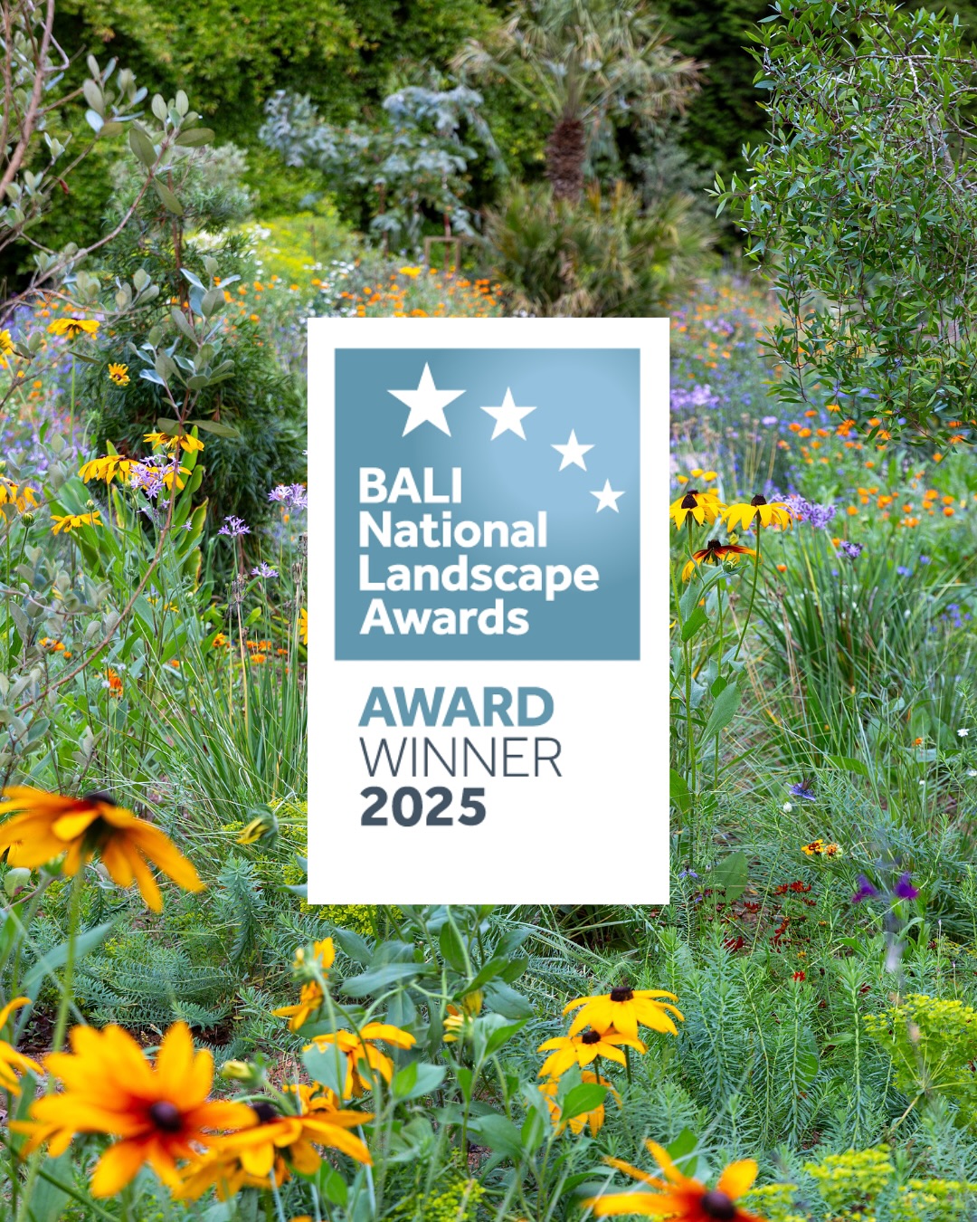 So proud that our National Trust project Garden for the Future at Sheffield Park and Garden has been recognised with a BALI Award!
The award celebrates the quality of the build by @tlc.uk completed last year. Planting was carried out this spring by National Trust gardeners and volunteers, with plants grown by @kelwaysplantslangport
This is the second award for the garden, following recognition from the Sussex Heritage Trust earlier this summer for which the plaque is now in place in the garden (swipe to the last image!)
With thanks also to @olicarteradventurousjoinery for the beautifully made seating that really helps bring the design to life.
Well done to the whole team 👏👏👏
⸻
ABOUT: Joe Perkins Design is a multi-award-winning landscape design consultancy, creating innovative outdoor spaces that celebrate the environment, wildlife, and biodiversity. Working across the UK and internationally, we partner with clients who share our passion for sustainable and visionary design. Discover more about our work at: www.joeperkinsdesign.com
📷 image 15 : @james_dobson_photography