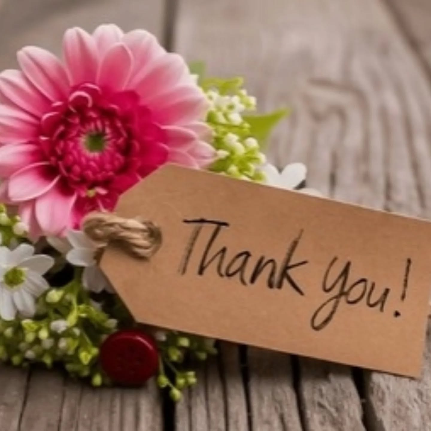 JETAA AKL had a recent THANK YOU dinner ☺️ 🍽️ for all of our helpers, AKL Jet alumni, recent returnees and the Executive committee who helped tautoko and awhi our new Jets on their journey to Japan. We are thankful and amazed at the expertise and experiences of those who shared their knowledge. Thank you Helen Cao our departing liaison officer plus food connoisseur. We had amazing food, wonderful people, and most of all the magical stories of Japan and the Jet Programme that keep us all connected.
THANK YOU to those who were unable to make it, but contributed to our collective effort to help the new Jets fly!
Spring is here!
Stay connected and keep an eye out for our Hanami celebration... Soon! 😁 🌸 🍒