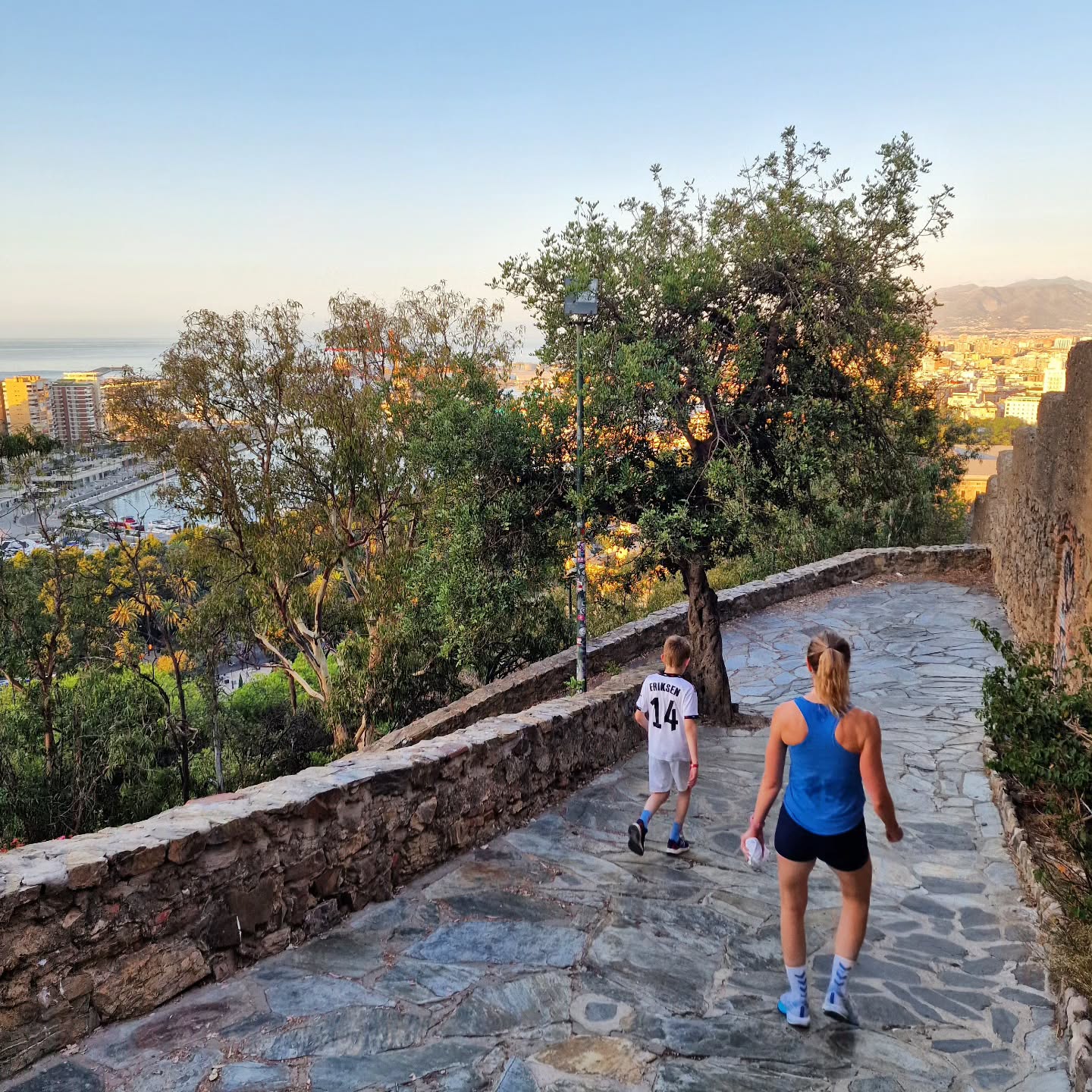 📍 Camino de Gibralfaro 🌟
.
.
.
.
.
#lovingmalaga #malaga #malagalife #malagaturismo #málaga #malagatoday #andalucia #ckmalagalife #ok_malaga #ok_andalucia #spain #estaes_malaga #visitmalaga #costadelsol #ok_spain #photosofmalaga #malagaconacento #spain_all_pics #summervibes #travel #travelphotography #enamoratedemalaga #latildedemalaga #malagaconacento